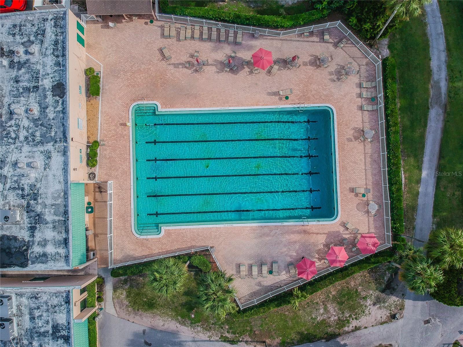3636 TROPHY BLVD #3636, NEW PORT RICHEY, FL, 34655