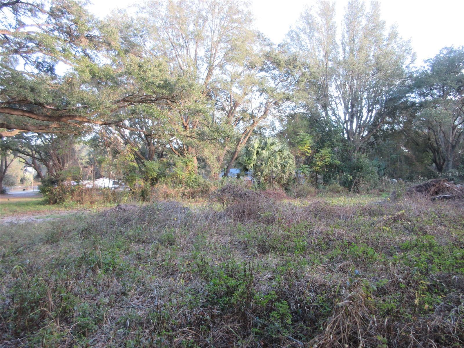 19165 SE 97TH PL, OCKLAWAHA, FL, 32179