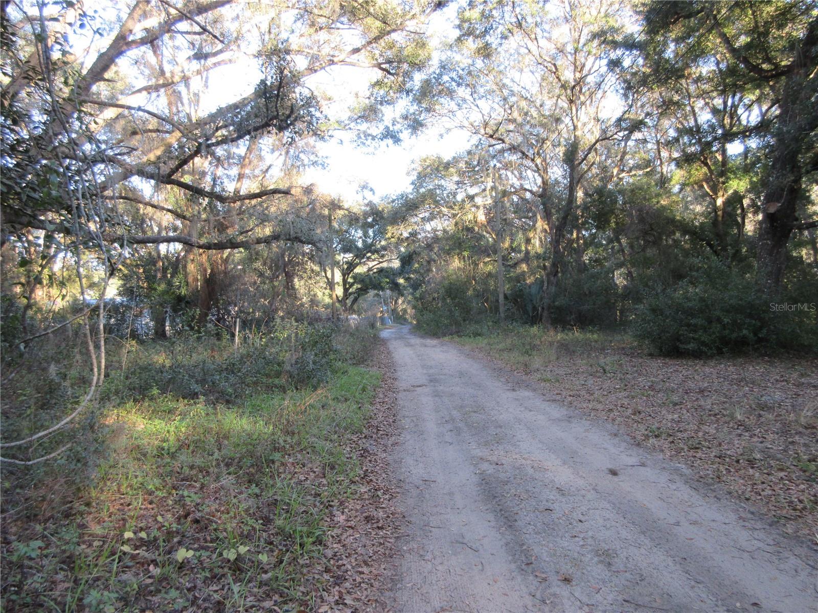 19165 SE 97TH PL, OCKLAWAHA, FL, 32179