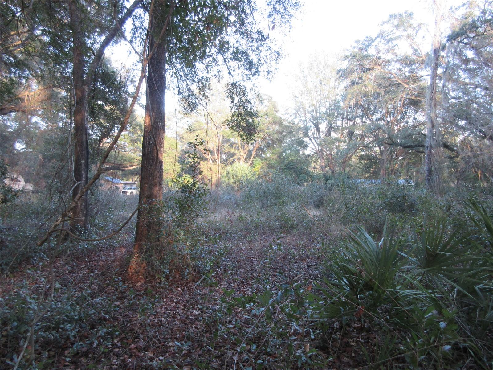 19165 SE 97TH PL, OCKLAWAHA, FL, 32179