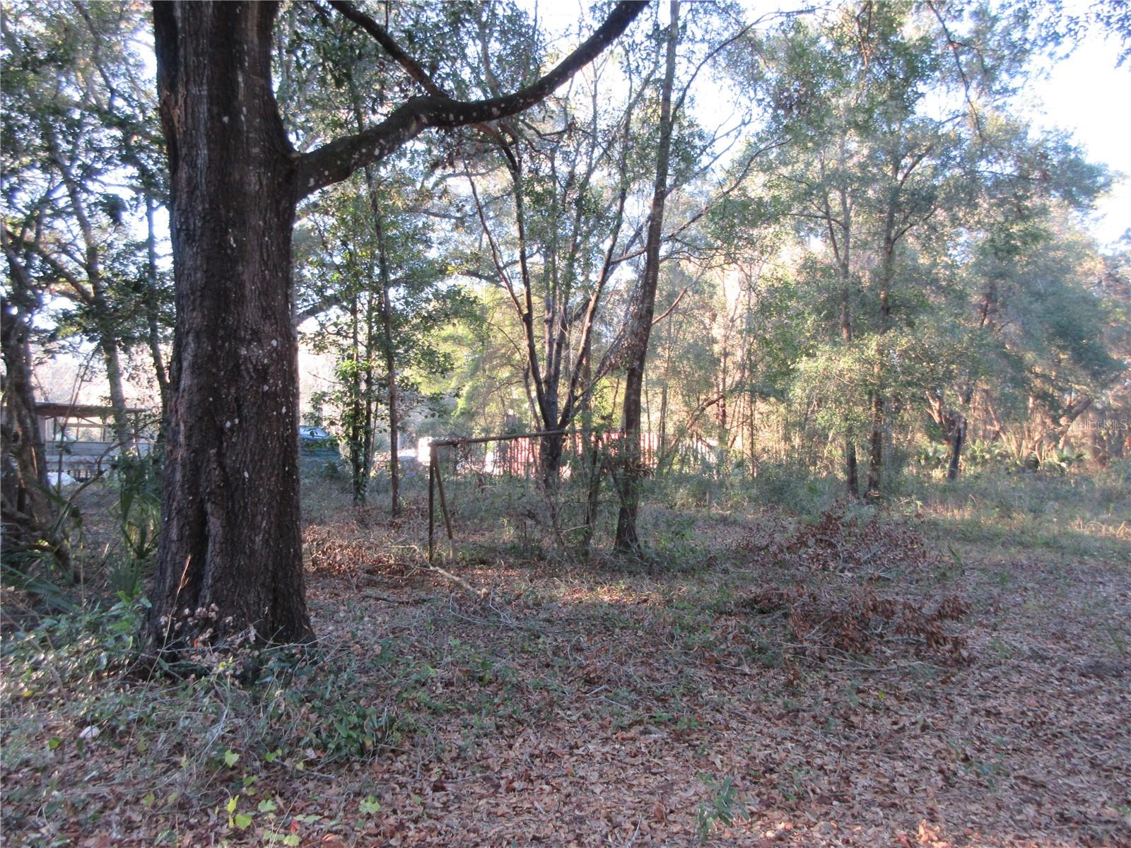 19165 SE 97TH PL, OCKLAWAHA, FL, 32179