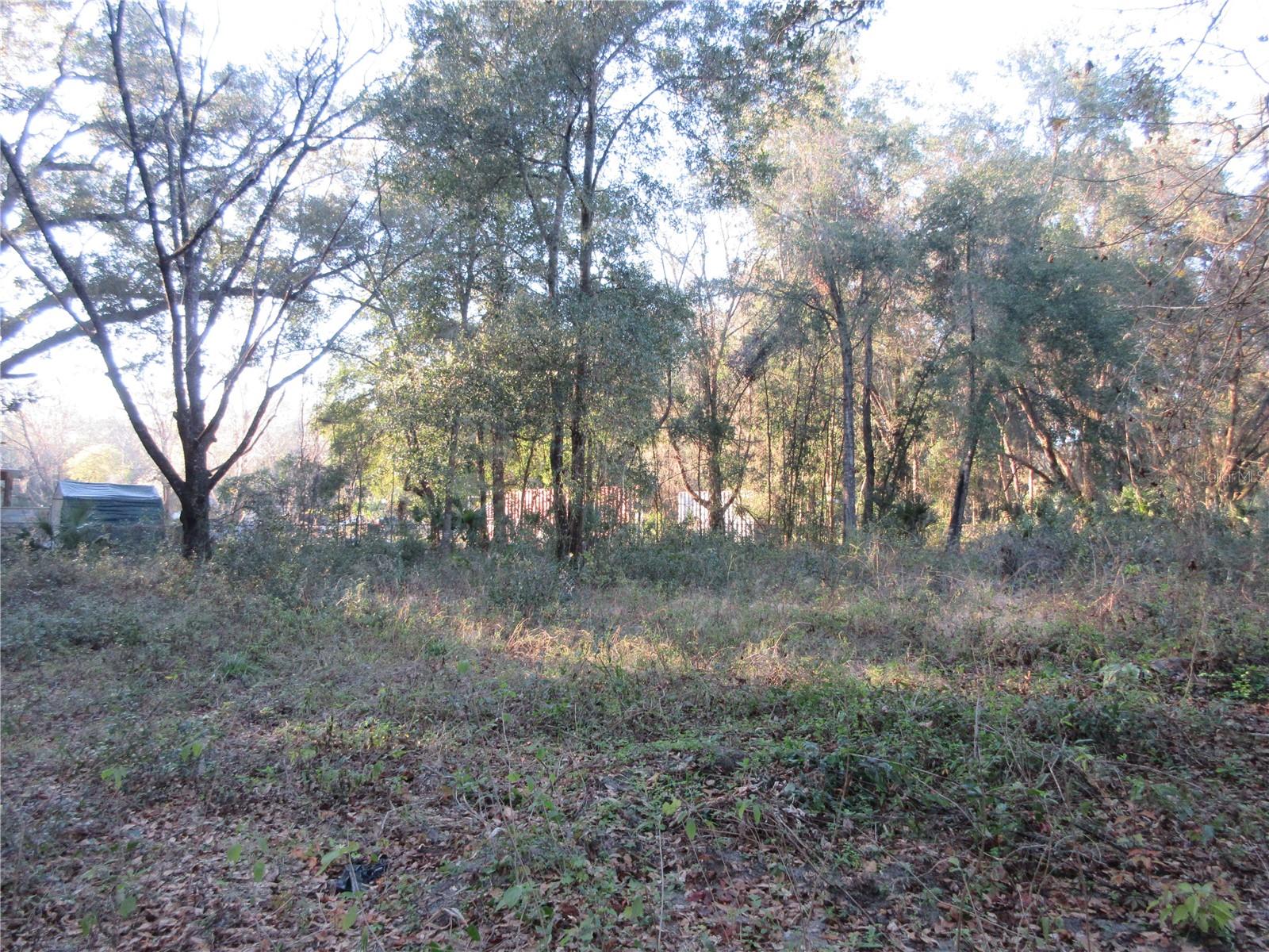 19165 SE 97TH PL, OCKLAWAHA, FL, 32179