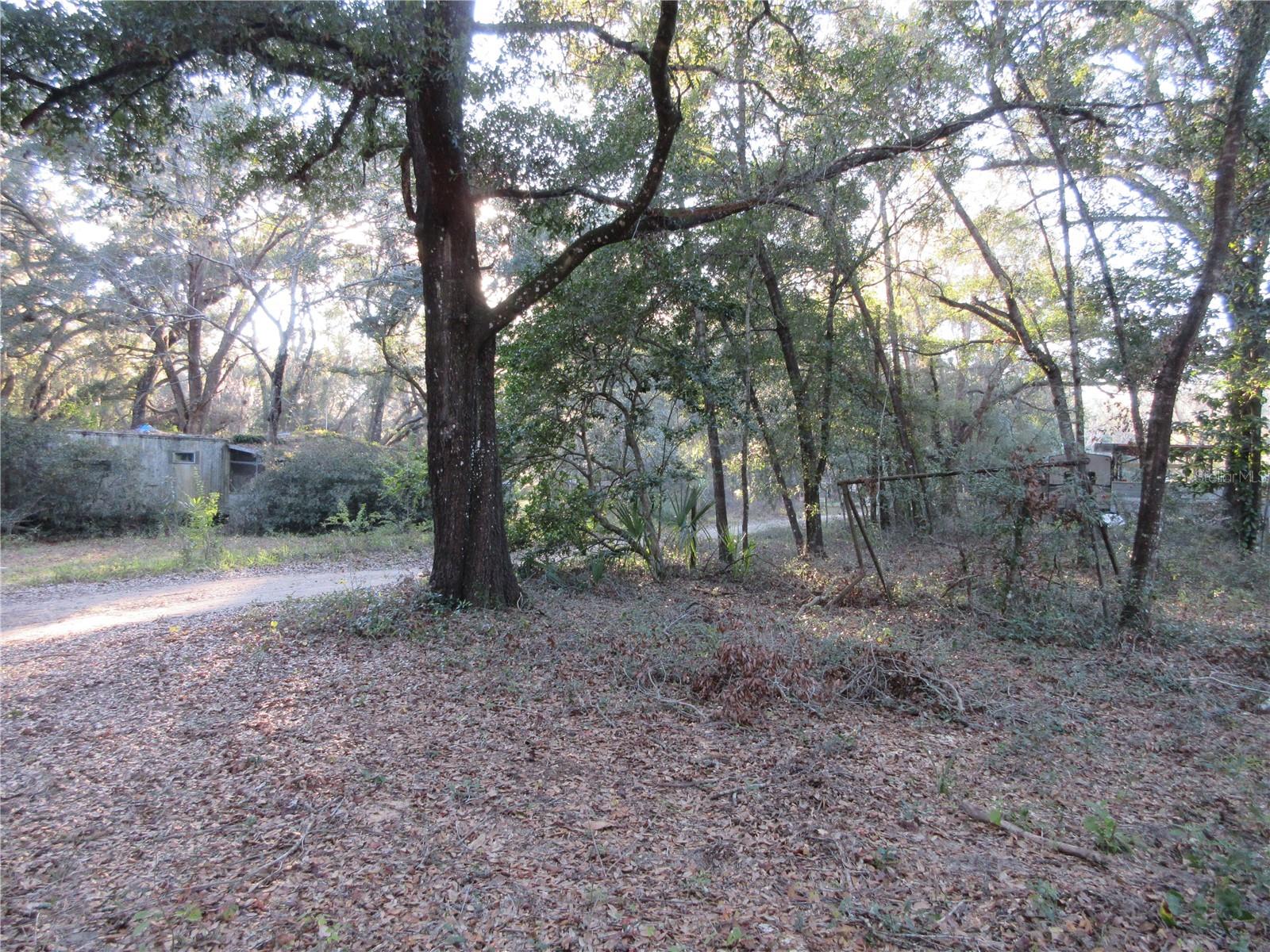 19165 SE 97TH PL, OCKLAWAHA, FL, 32179