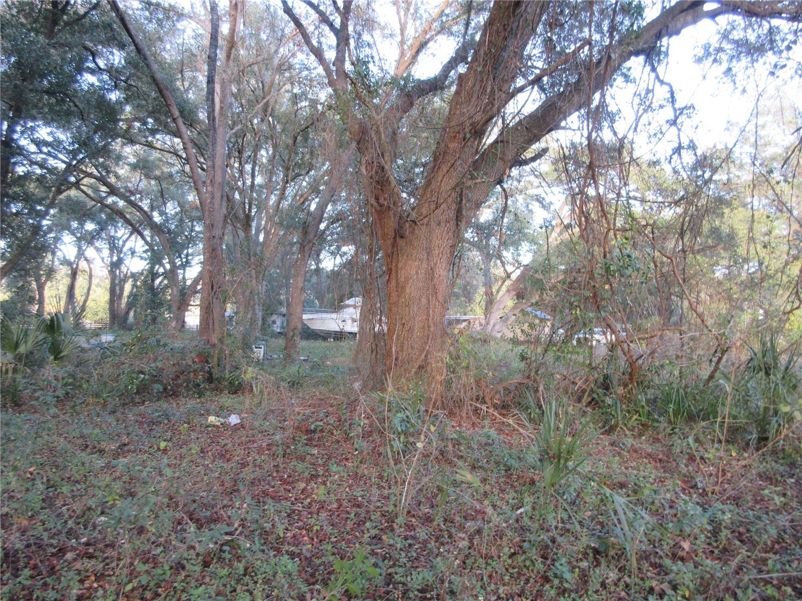 19165 SE 97TH PL, OCKLAWAHA, FL, 32179