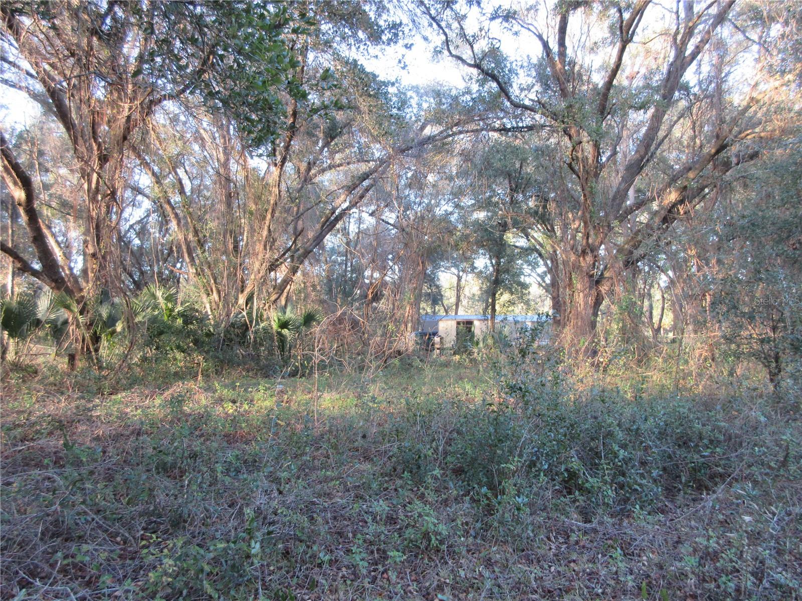 19165 SE 97TH PL, OCKLAWAHA, FL, 32179