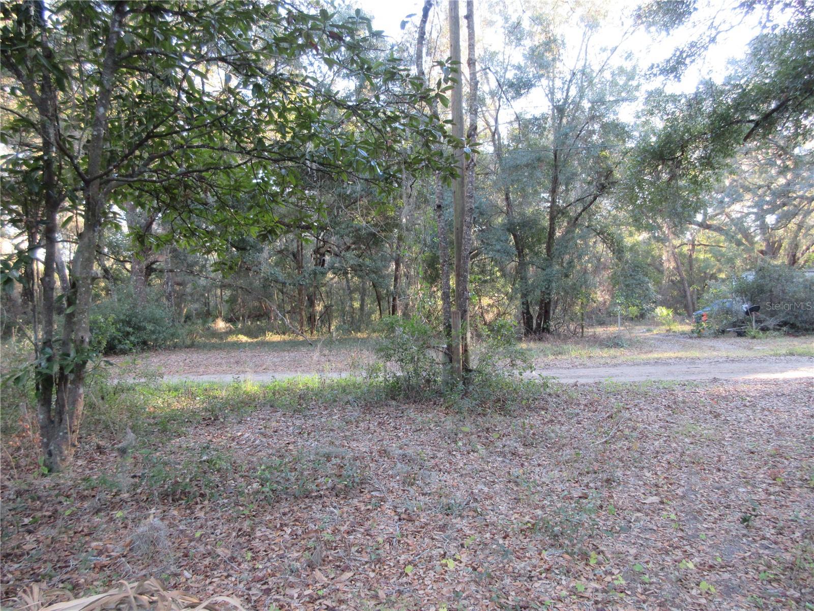19165 SE 97TH PL, OCKLAWAHA, FL, 32179