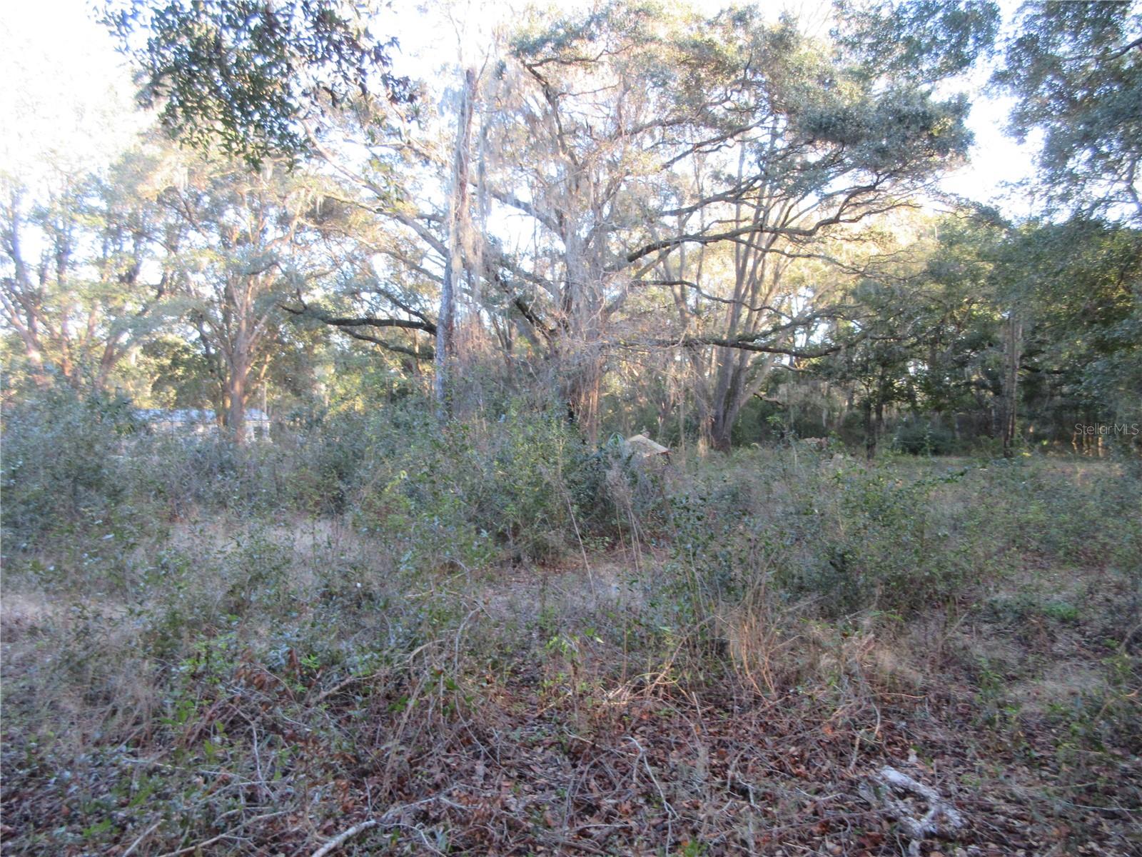 19165 SE 97TH PL, OCKLAWAHA, FL, 32179