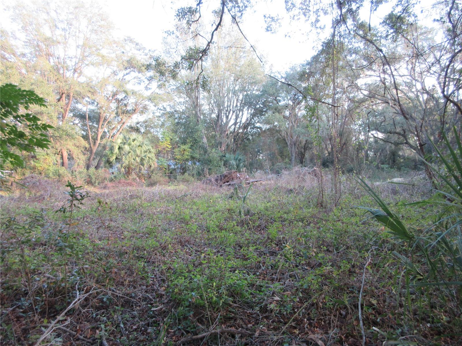 19165 SE 97TH PL, OCKLAWAHA, FL, 32179