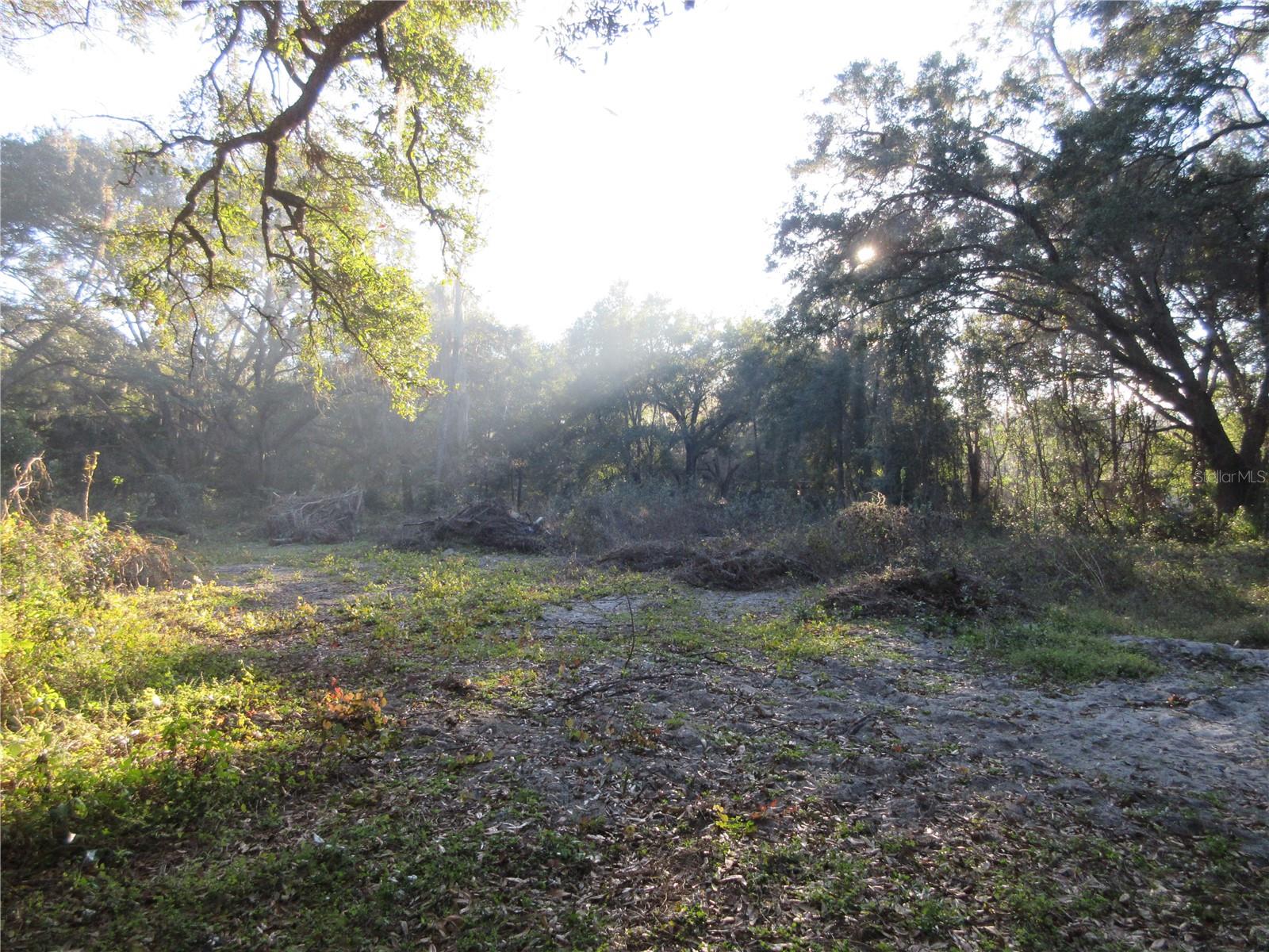 19165 SE 97TH PL, OCKLAWAHA, FL, 32179