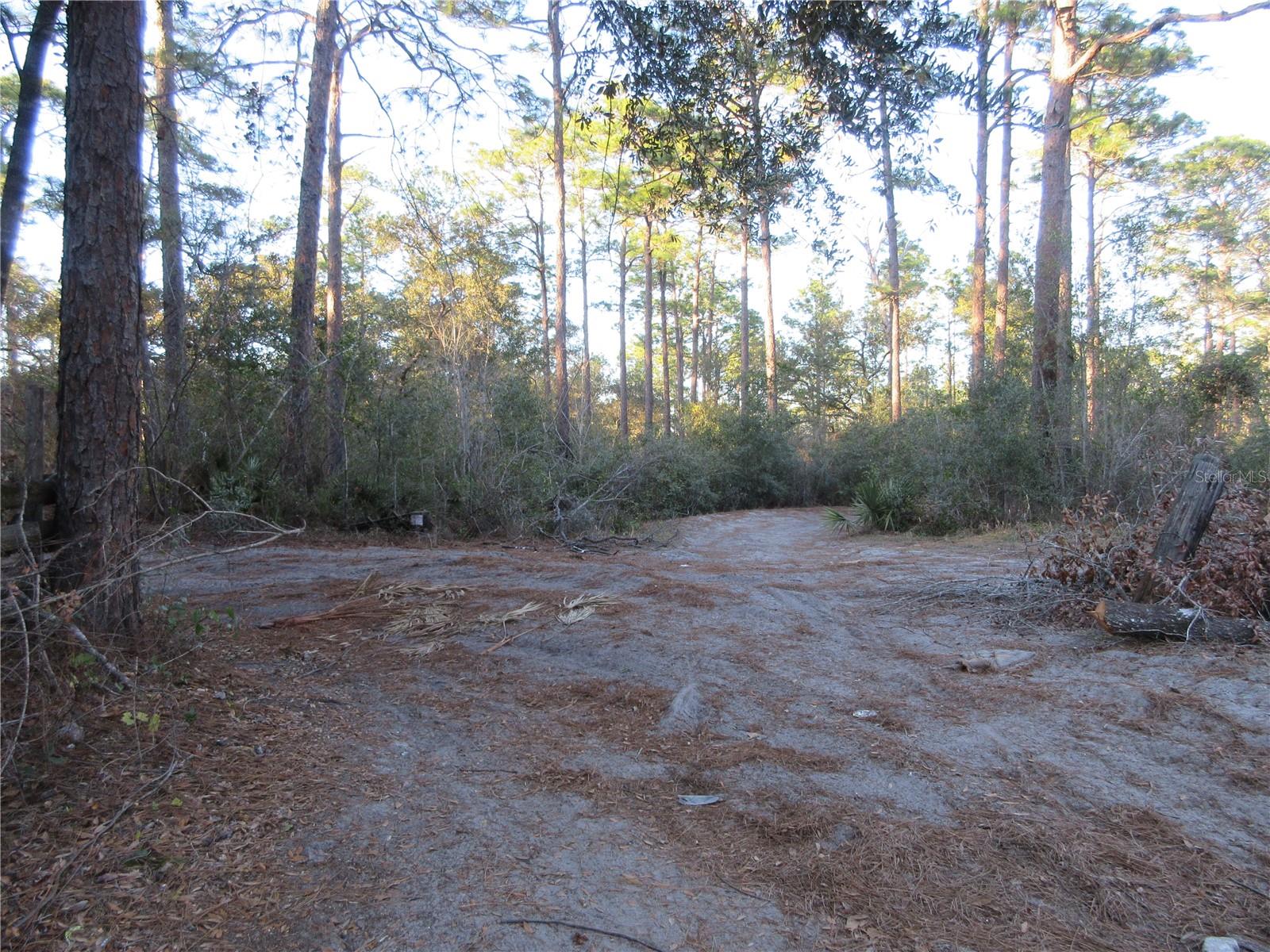 19165 SE 97TH PL, OCKLAWAHA, FL, 32179