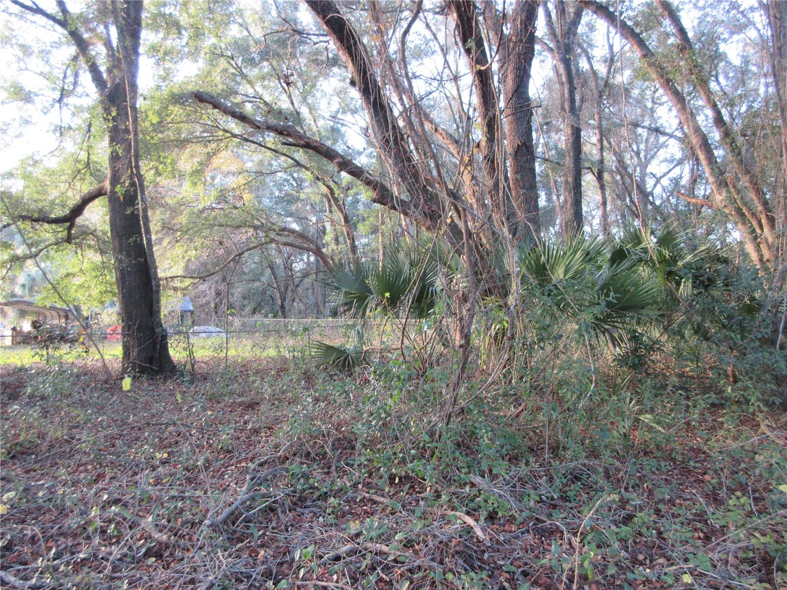 19165 SE 97TH PL, OCKLAWAHA, FL, 32179
