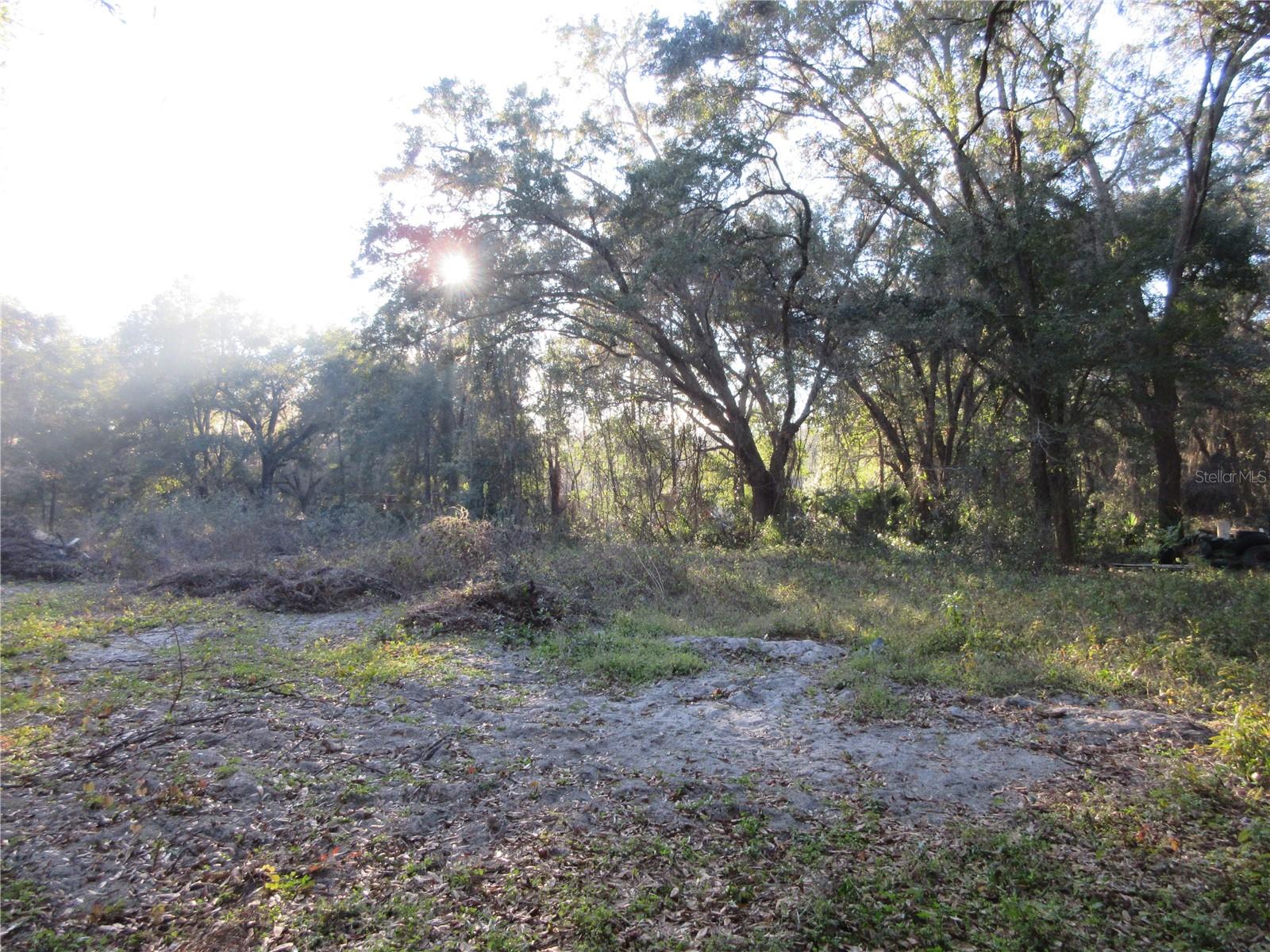 19165 SE 97TH PL, OCKLAWAHA, FL, 32179