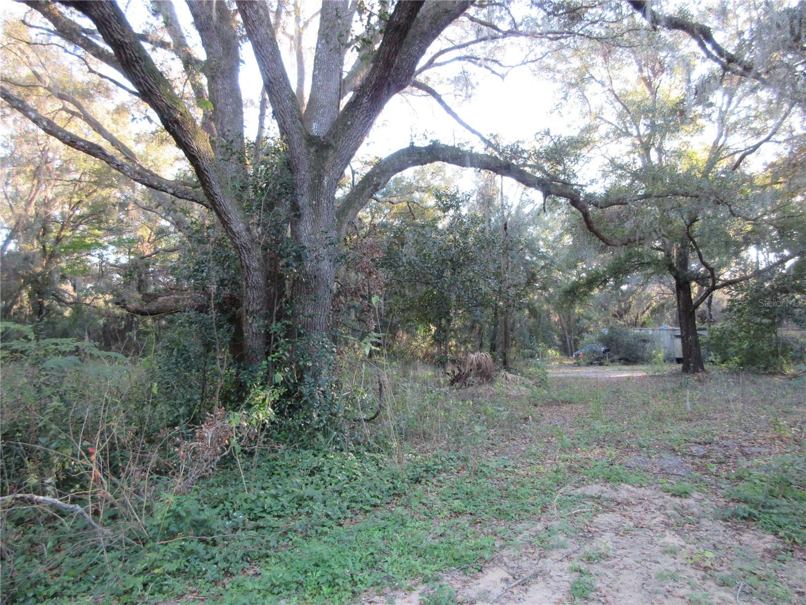19165 SE 97TH PL, OCKLAWAHA, FL, 32179