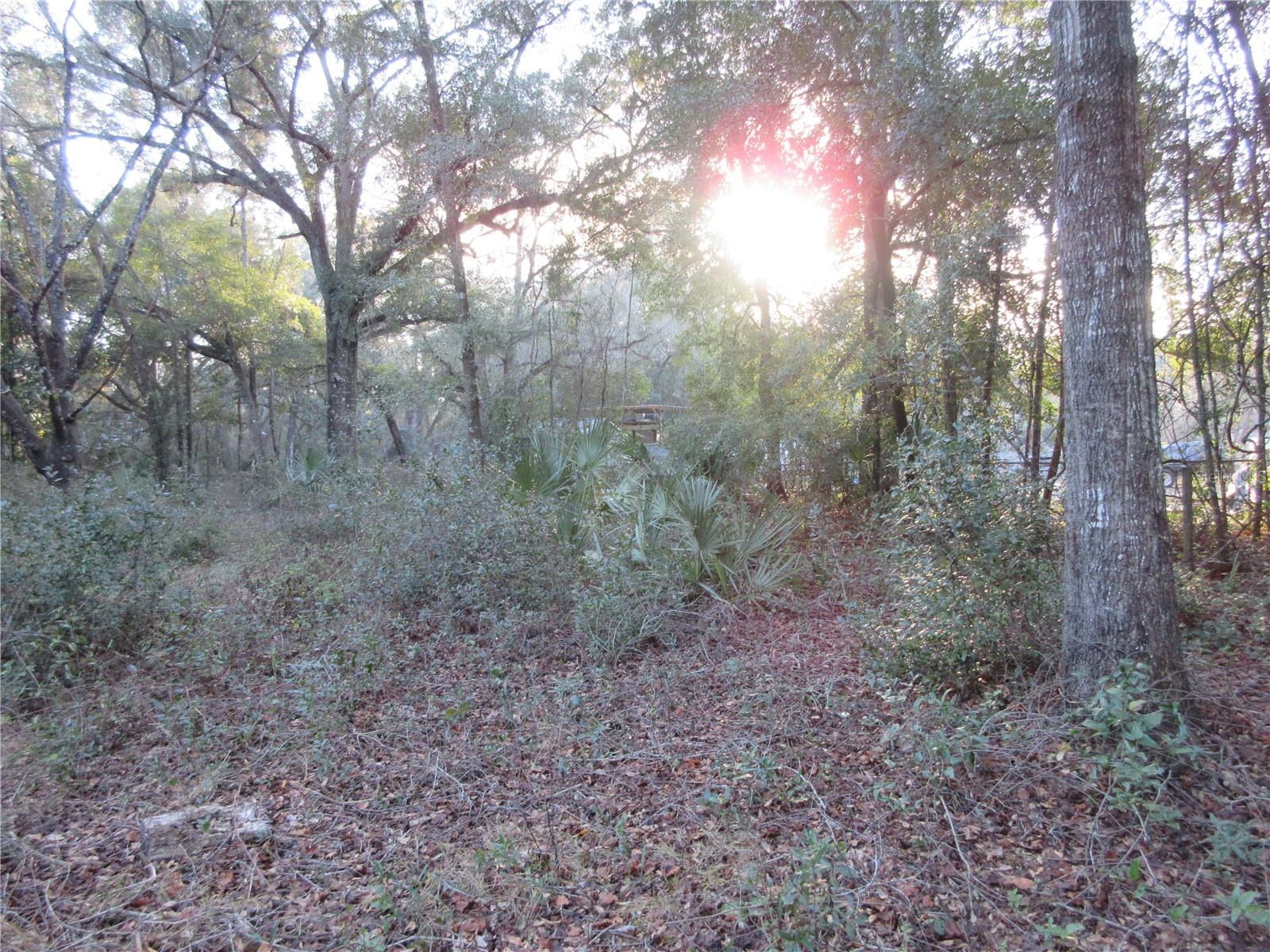 19165 SE 97TH PL, OCKLAWAHA, FL, 32179