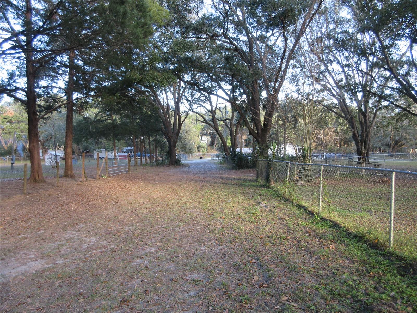 19165 SE 97TH PL, OCKLAWAHA, FL, 32179