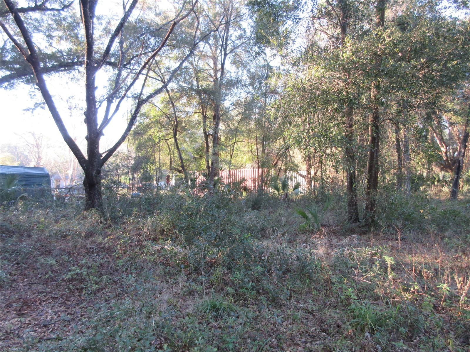 19165 SE 97TH PL, OCKLAWAHA, FL, 32179