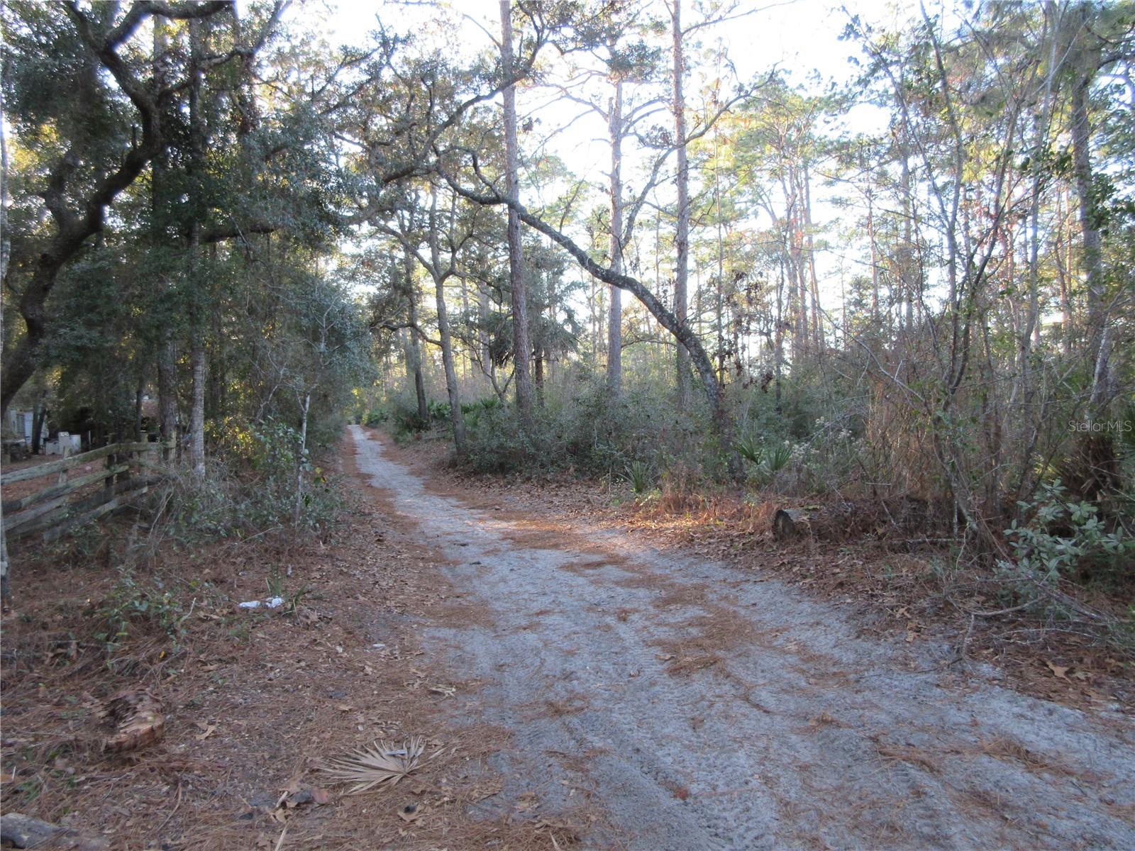 19165 SE 97TH PL, OCKLAWAHA, FL, 32179