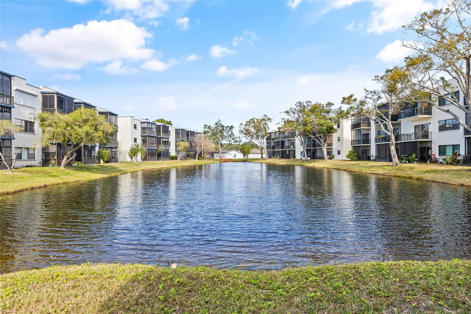 5980 TERRACE PARK DR N #203, ST PETERSBURG, FL, 33709