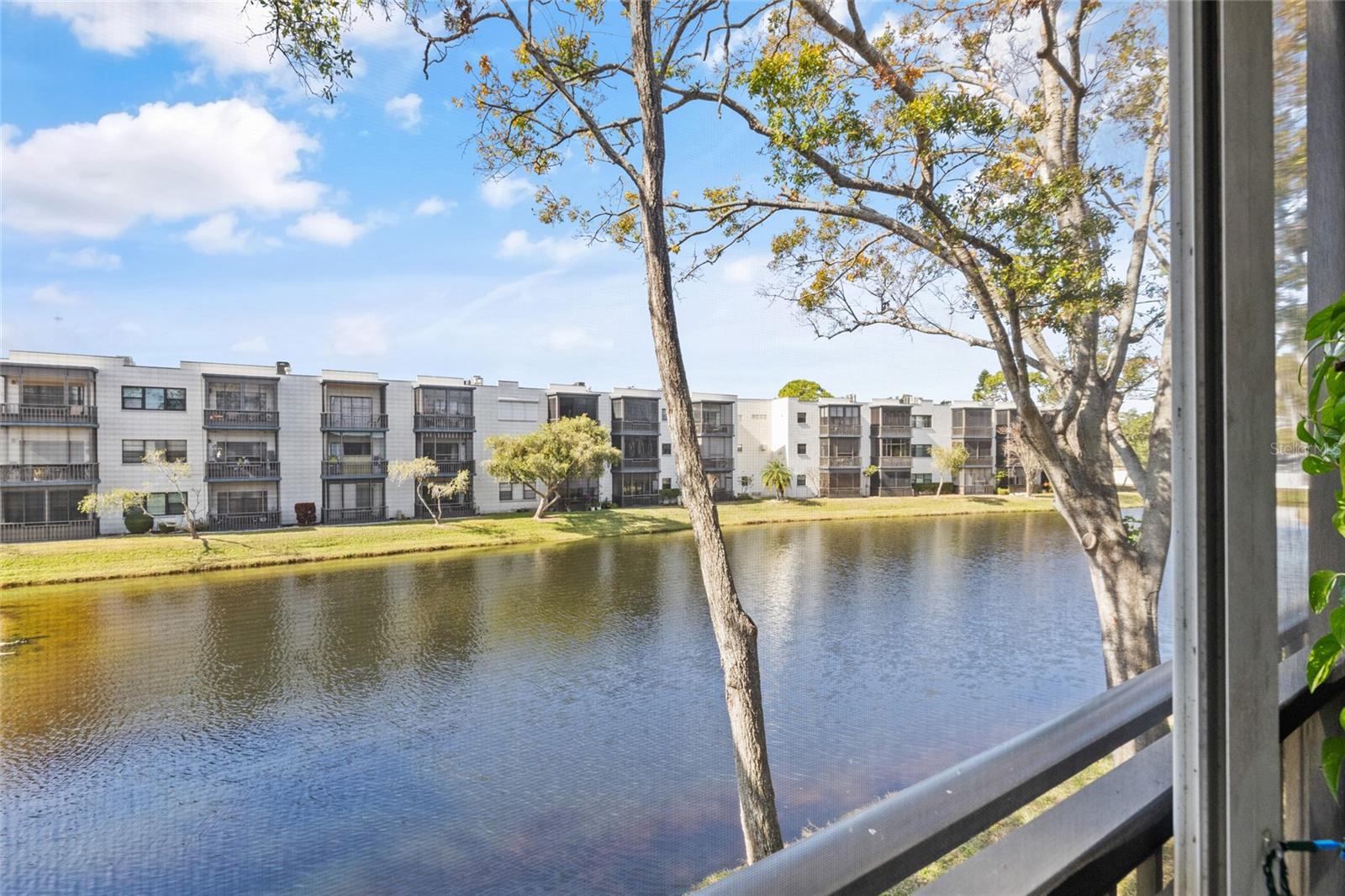 5980 TERRACE PARK DR N #203, ST PETERSBURG, FL, 33709
