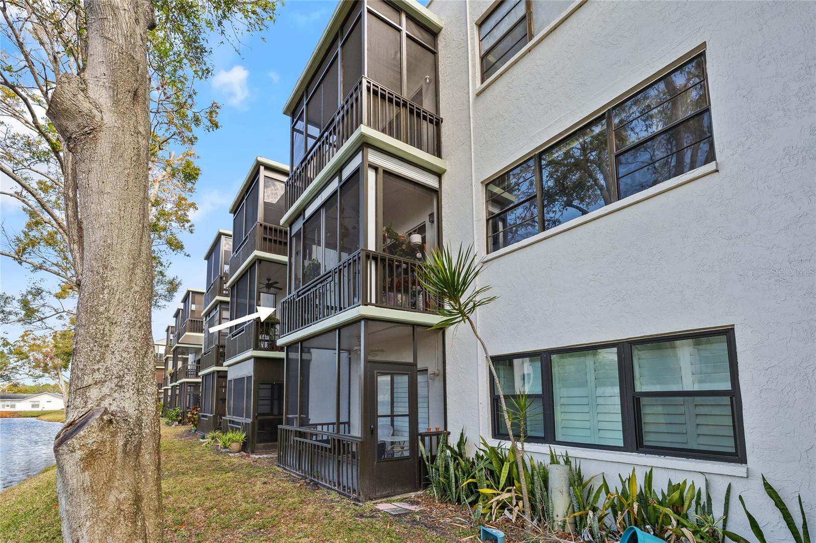 5980 TERRACE PARK DR N #203, ST PETERSBURG, FL, 33709