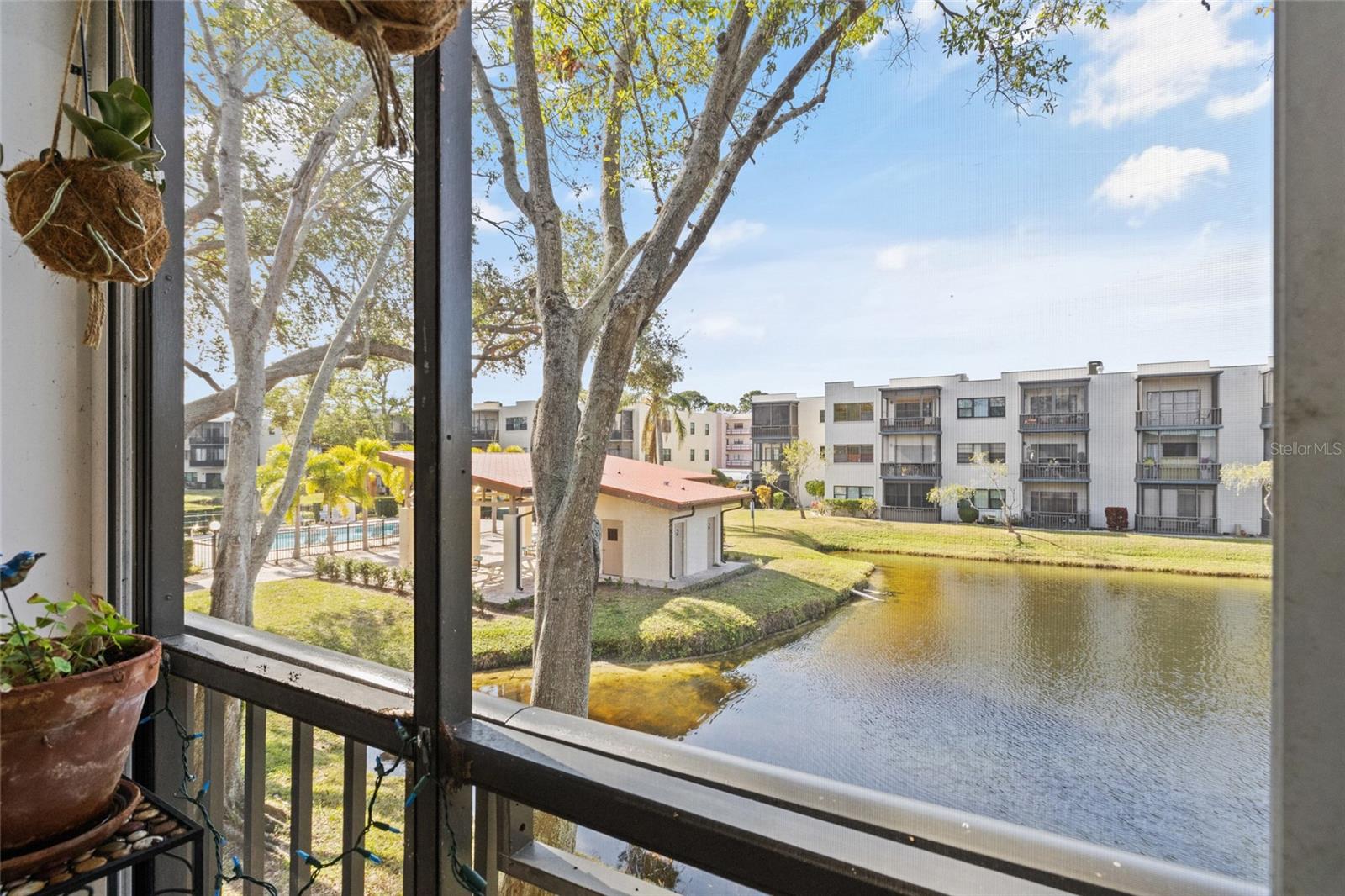 5980 TERRACE PARK DR N #203, ST PETERSBURG, FL, 33709