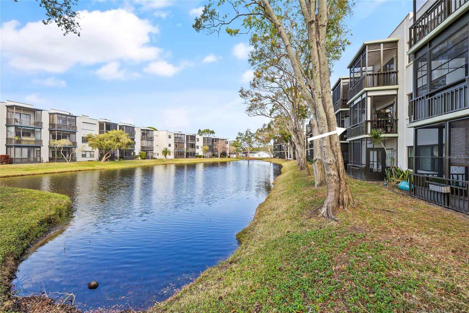 5980 TERRACE PARK DR N #203, ST PETERSBURG, FL, 33709