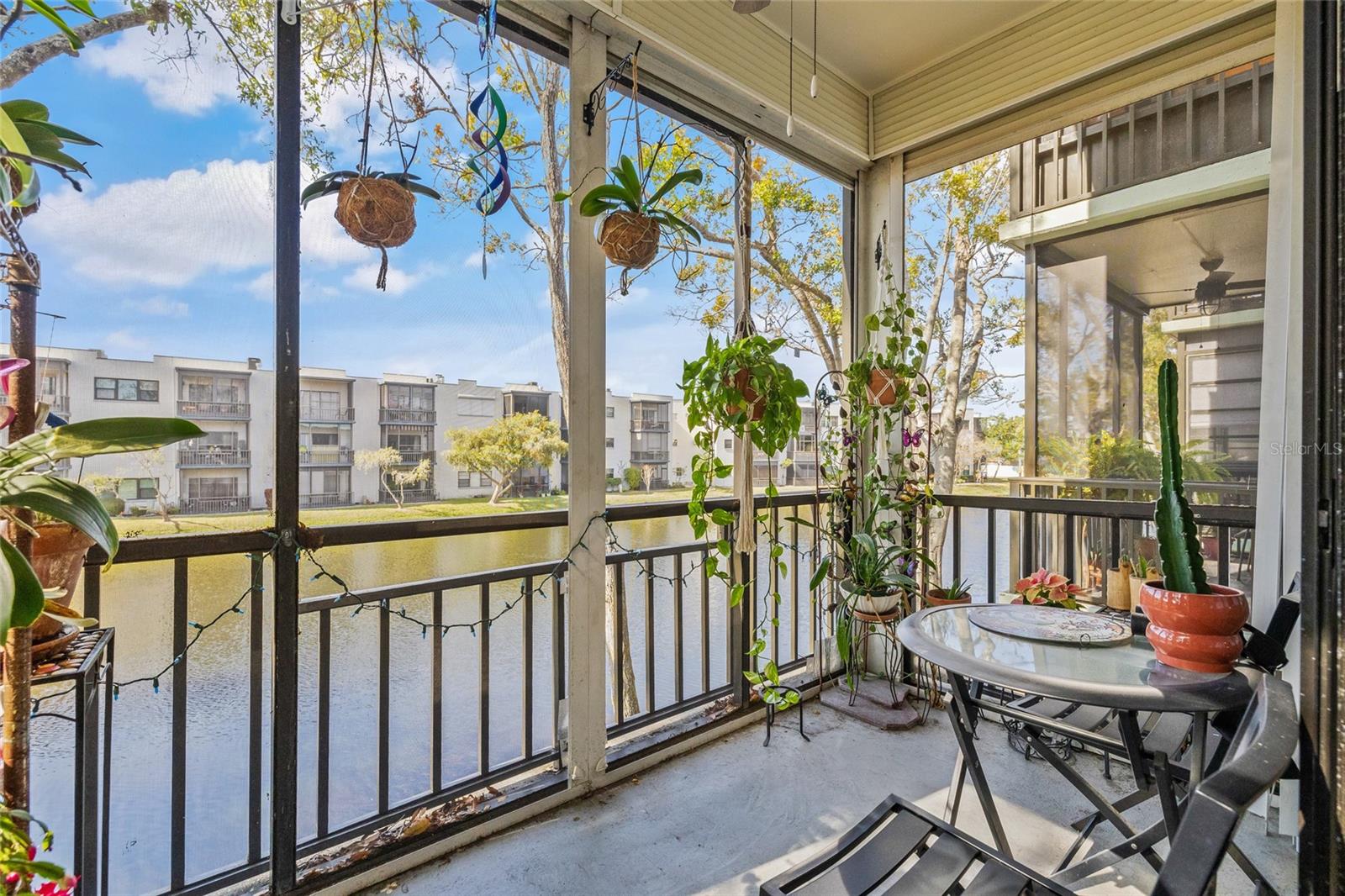 5980 TERRACE PARK DR N #203, ST PETERSBURG, FL, 33709
