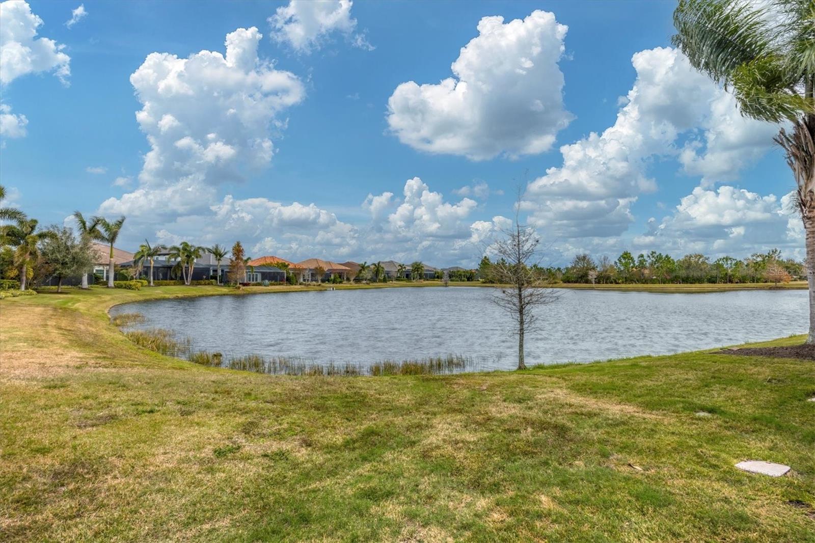 16007 CASTLE PARK TER, LAKEWOOD RANCH, FL, 34202