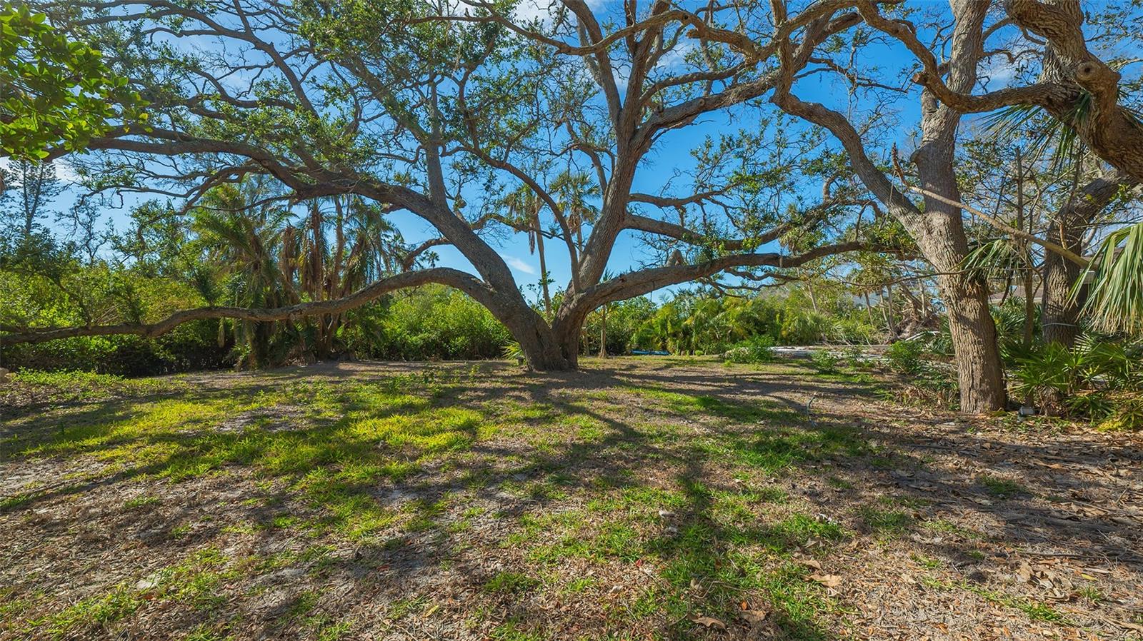 7429 SANDERLING RD, SARASOTA, FL, 34242