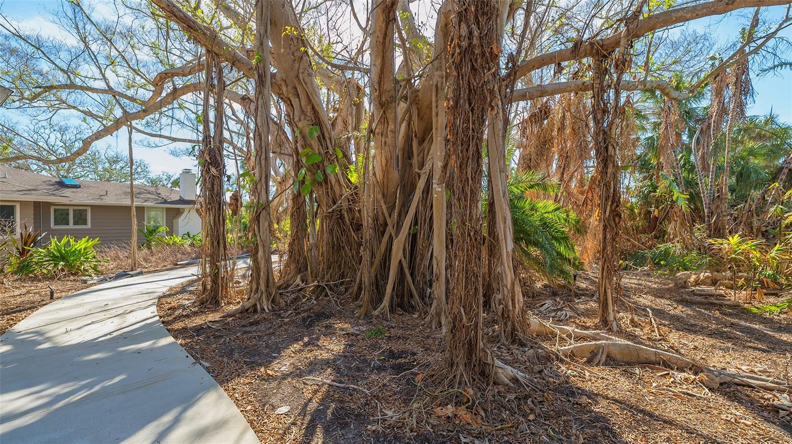 7429 SANDERLING RD, SARASOTA, FL, 34242