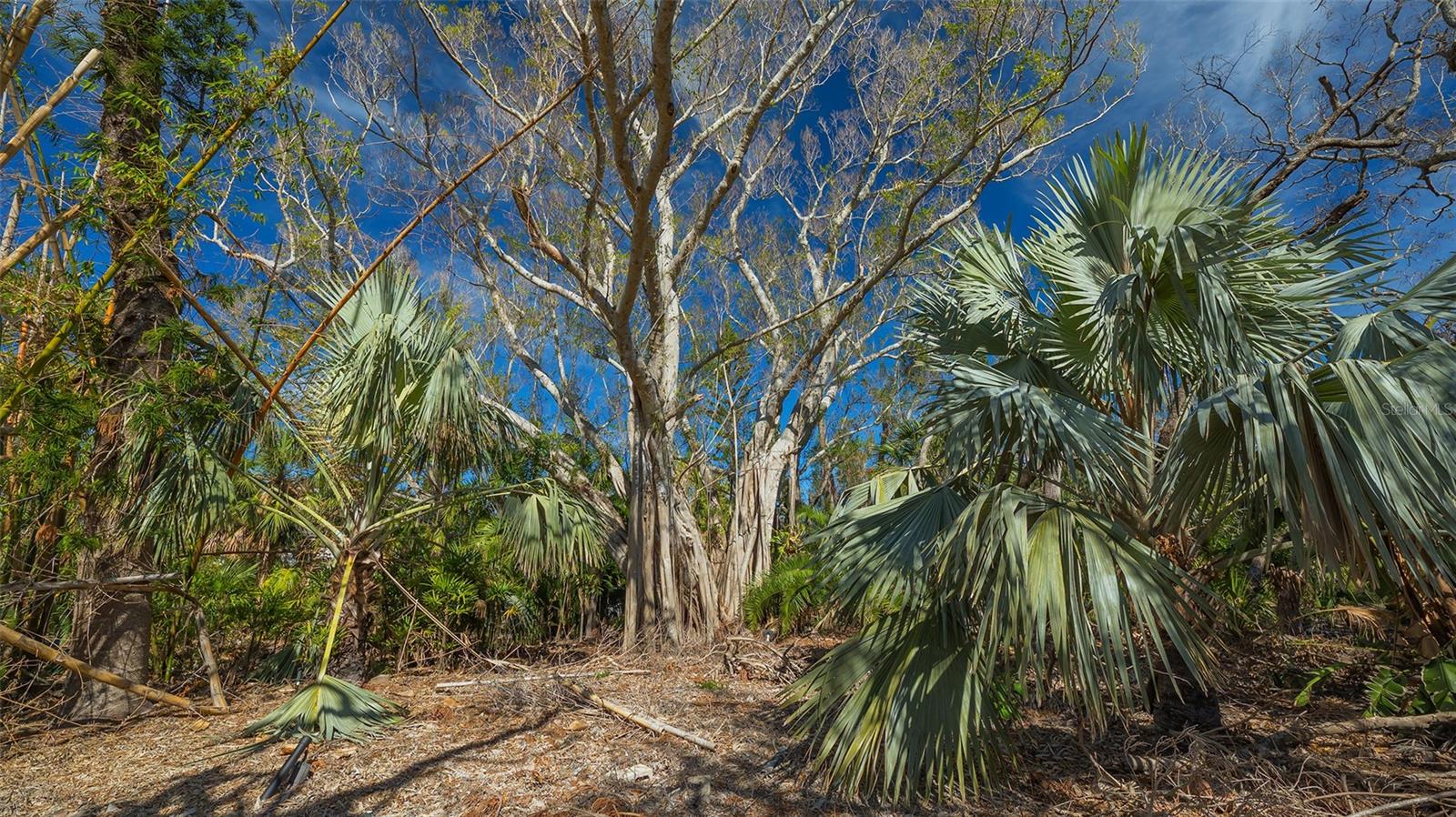 7429 SANDERLING RD, SARASOTA, FL, 34242