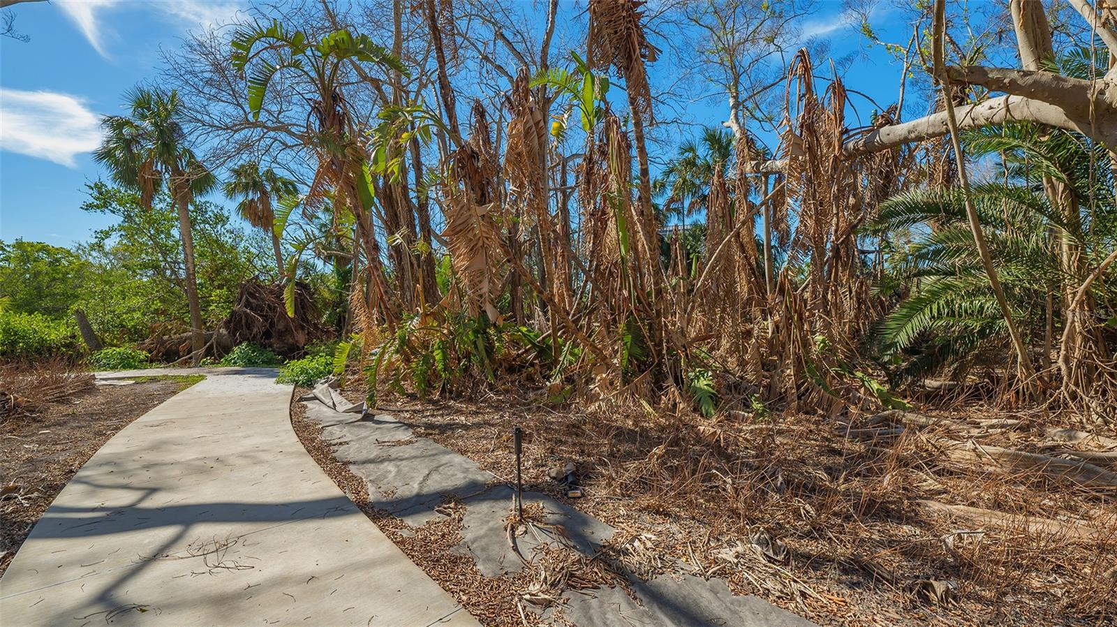 7429 SANDERLING RD, SARASOTA, FL, 34242