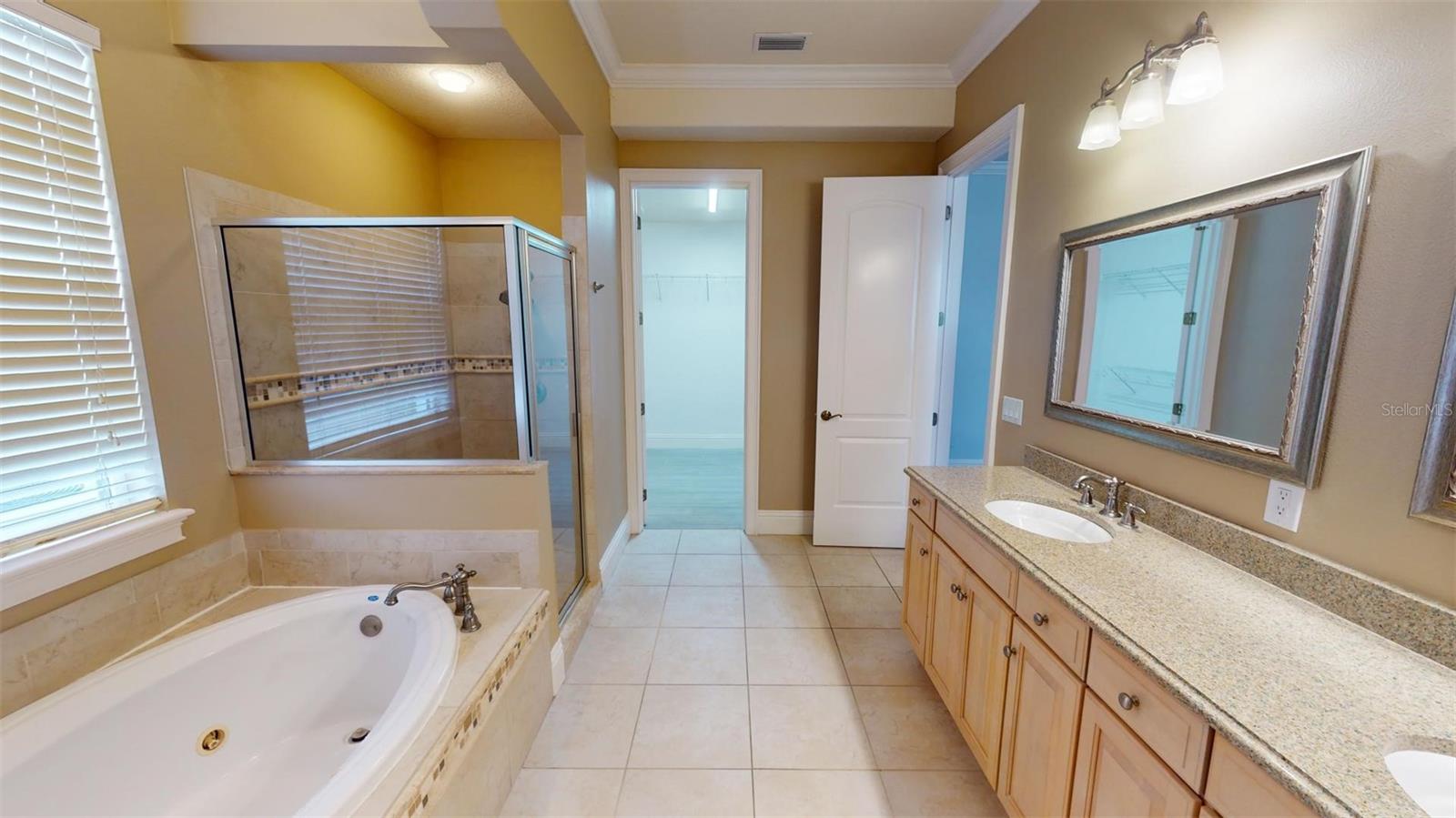 13033 MCINTOSH LAKES LN, DOVER, FL, 33527