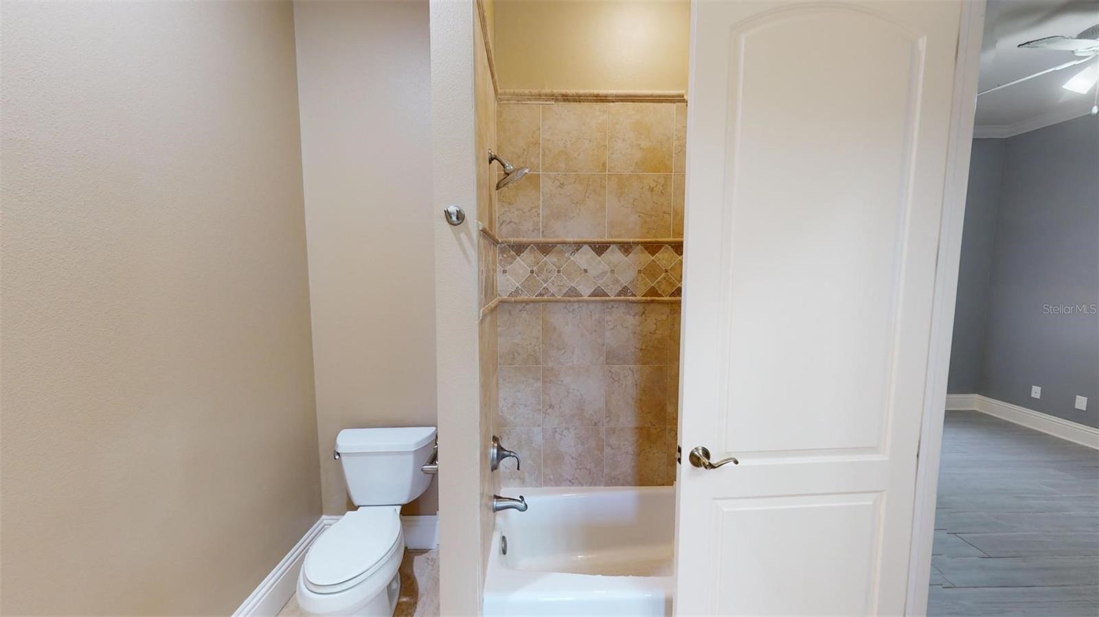 13033 MCINTOSH LAKES LN, DOVER, FL, 33527