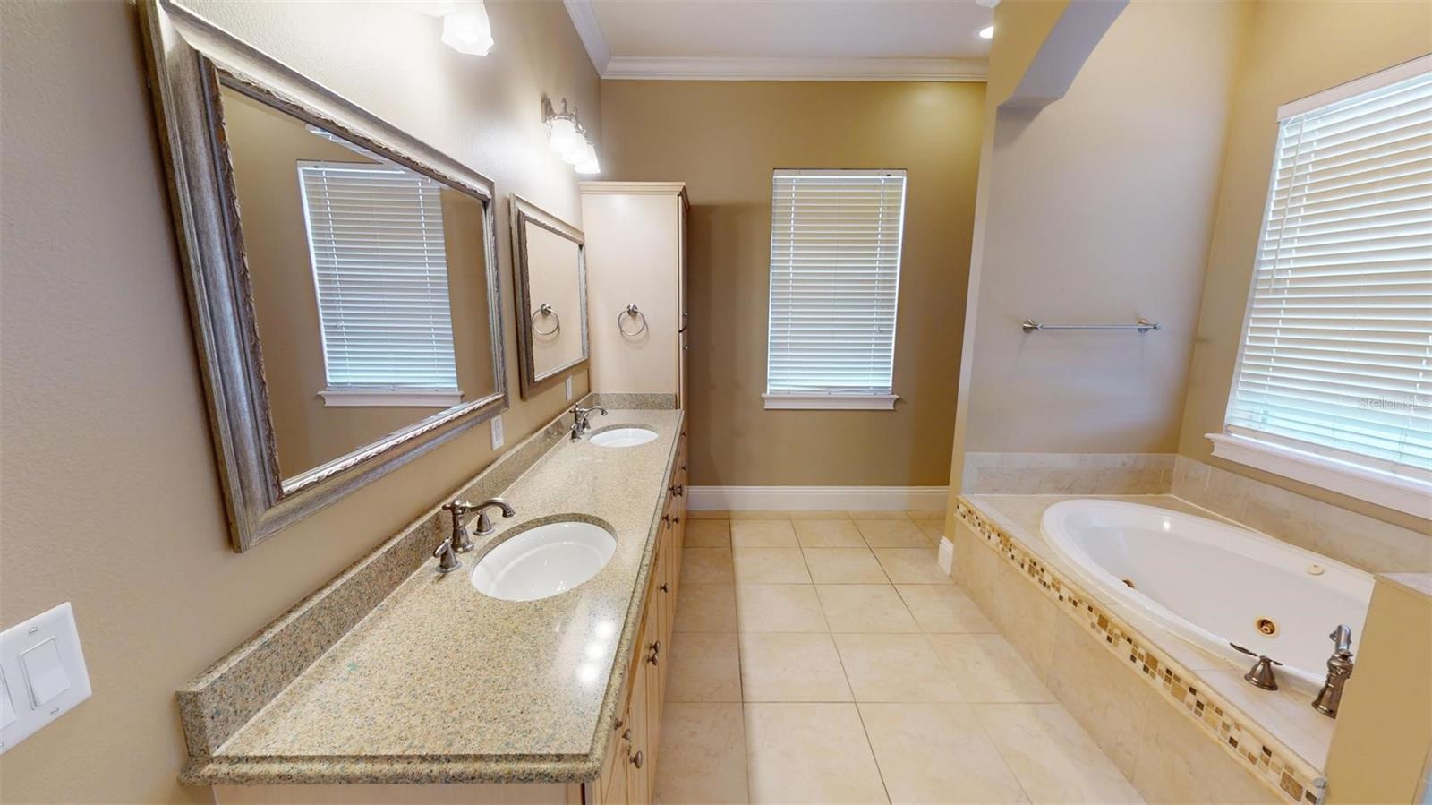 13033 MCINTOSH LAKES LN, DOVER, FL, 33527