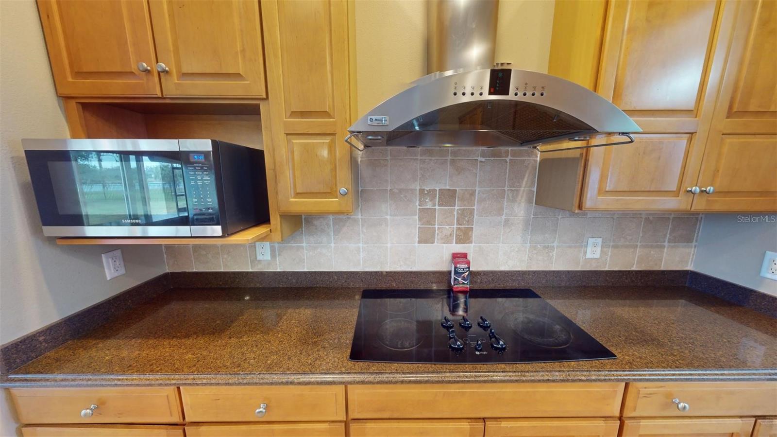 13033 MCINTOSH LAKES LN, DOVER, FL, 33527
