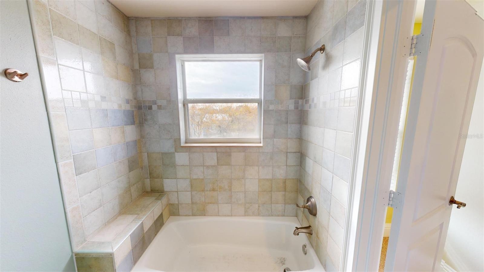 13033 MCINTOSH LAKES LN, DOVER, FL, 33527