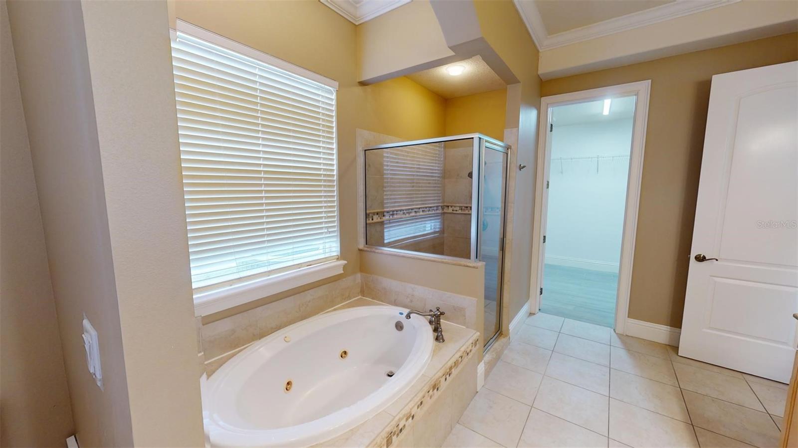 13033 MCINTOSH LAKES LN, DOVER, FL, 33527
