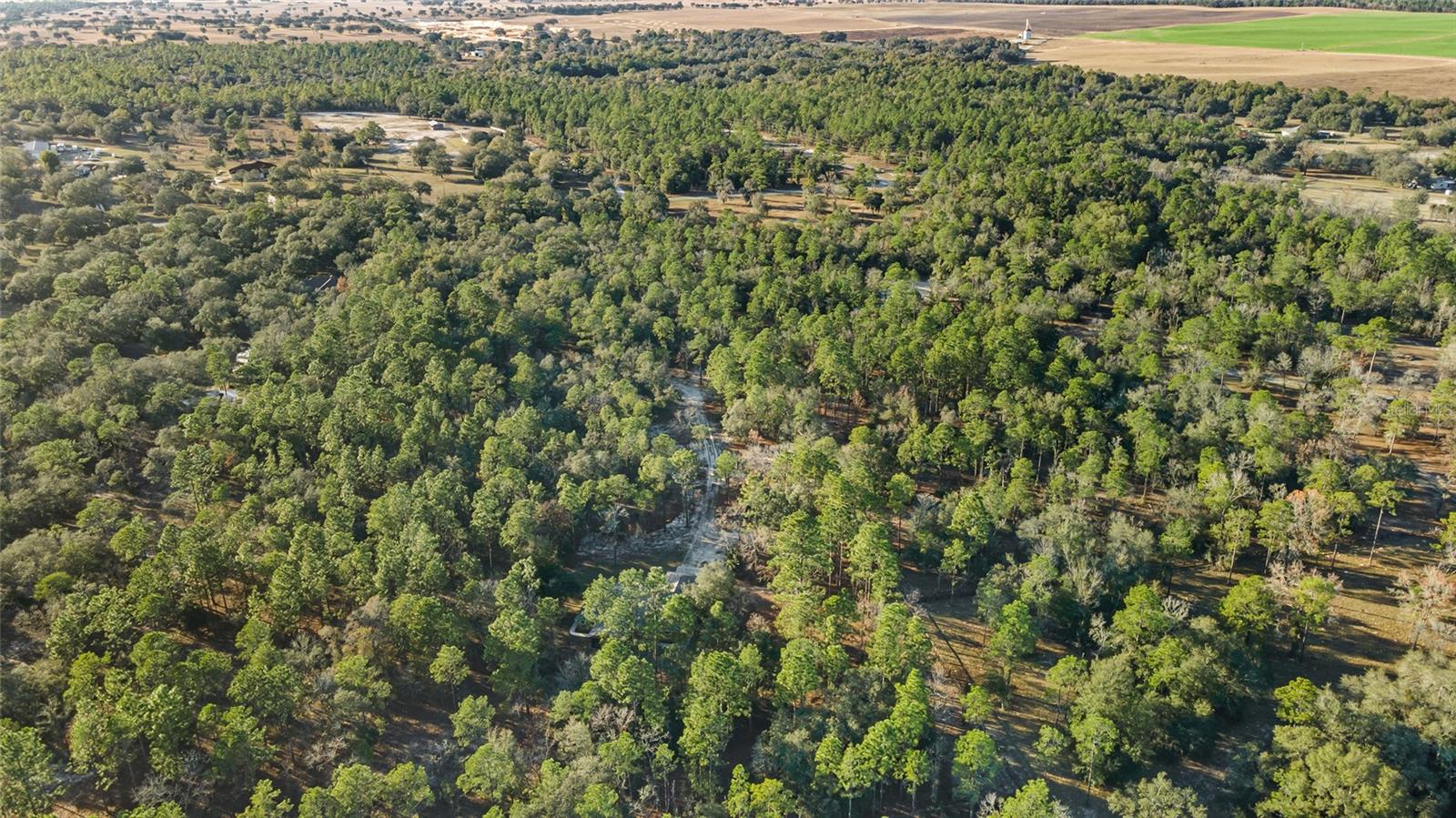 1015 NW 165TH COURT RD, DUNNELLON, FL, 34432