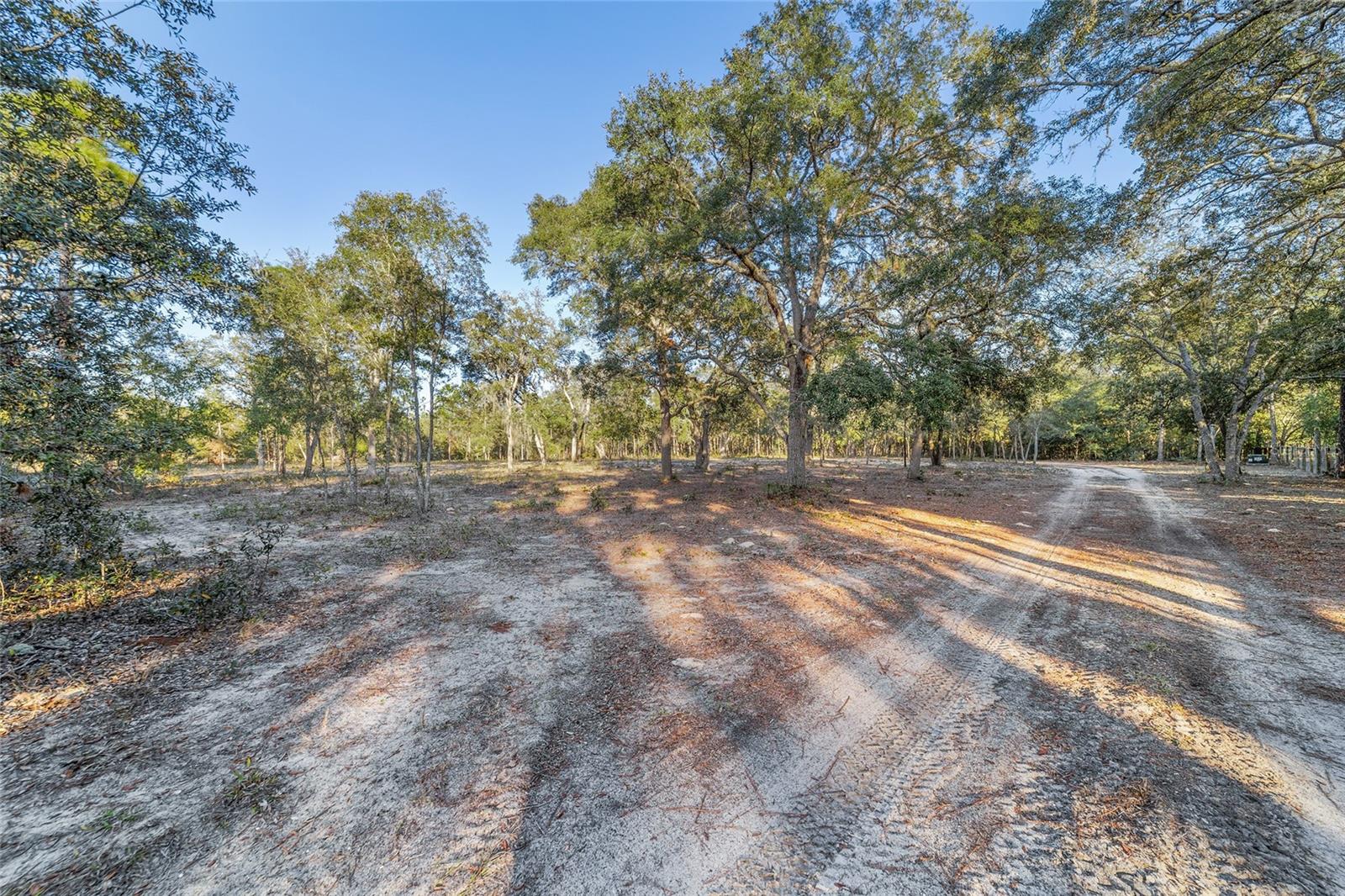 1015 NW 165TH COURT RD, DUNNELLON, FL, 34432
