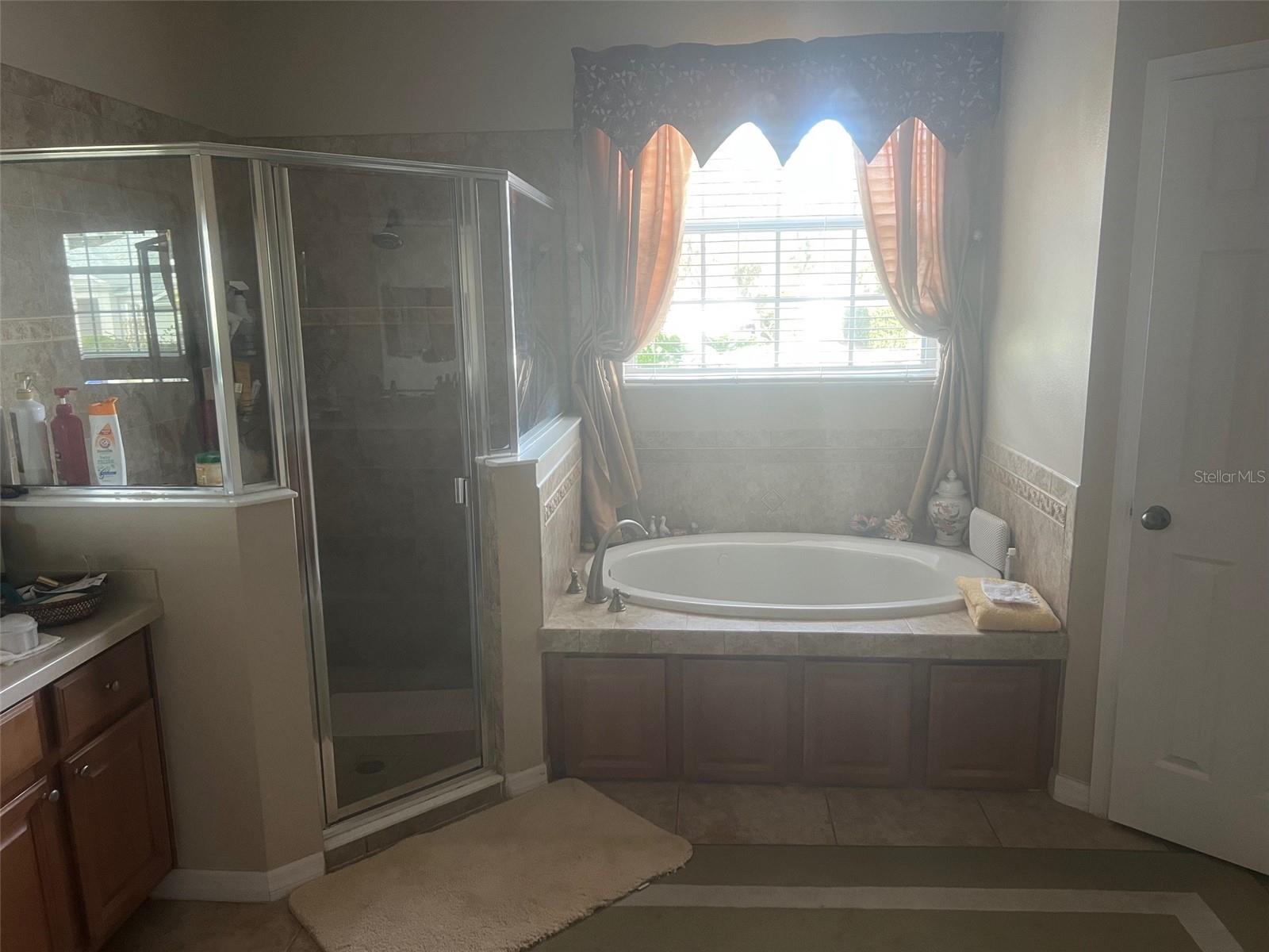 2776 SPICEBUSH LOOP, APOPKA, FL, 32712