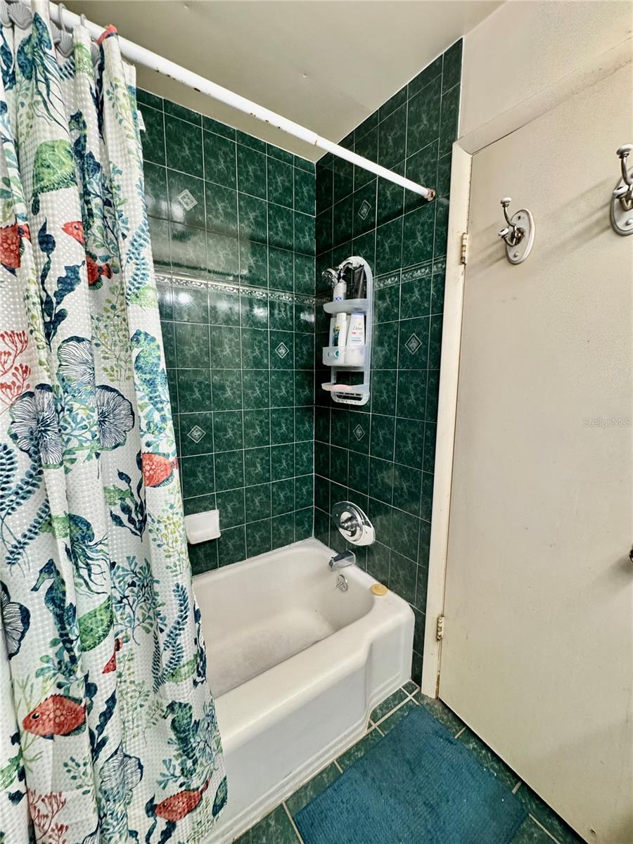 10937 N LANTANA AVE, TAMPA, FL, 33612
