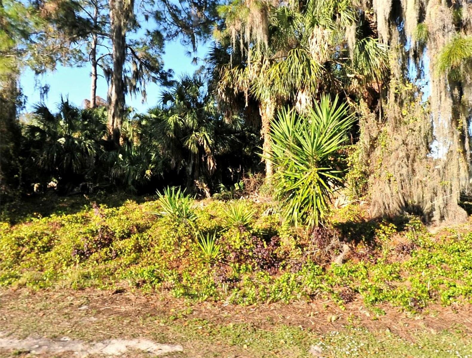 Lot 20 TUSKET AVE, NORTH PORT, FL, 34286