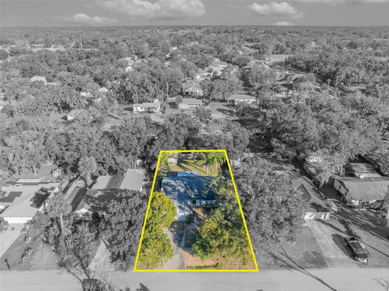 1101 LANTANA DR, EUSTIS, FL, 32726