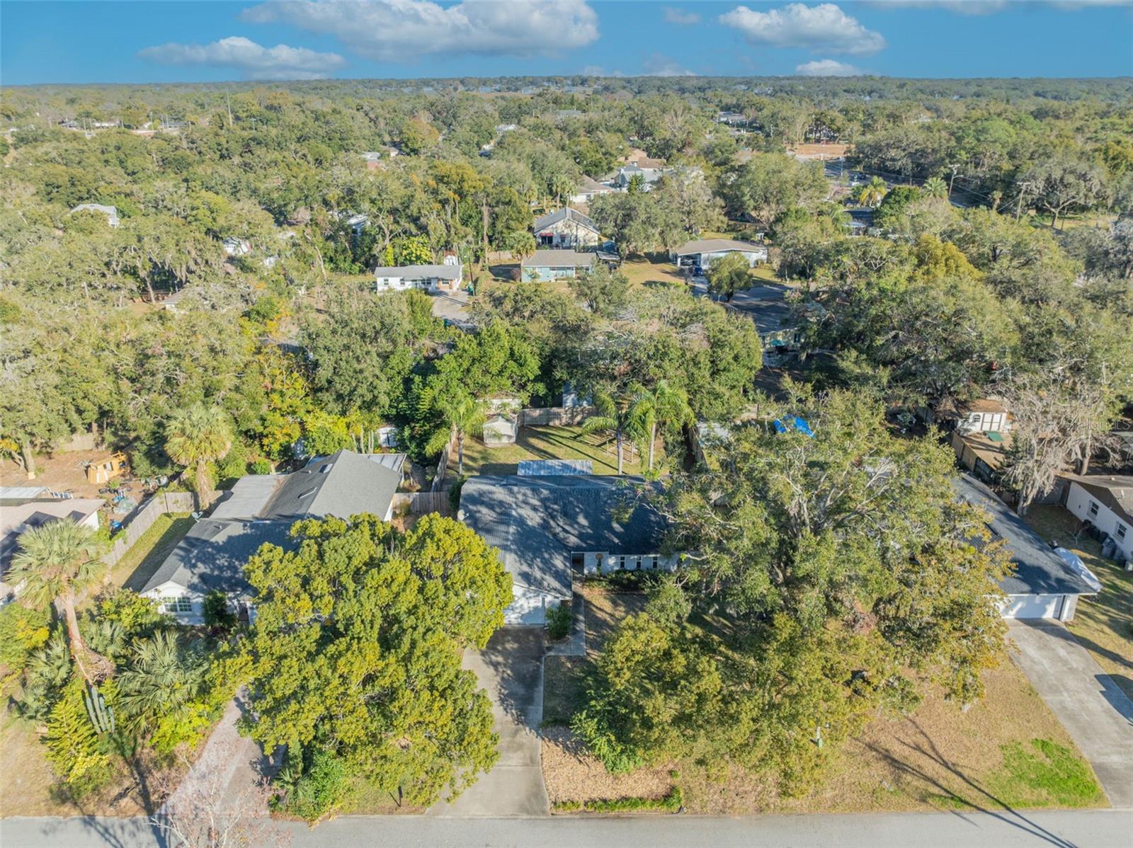 1101 LANTANA DR, EUSTIS, FL, 32726