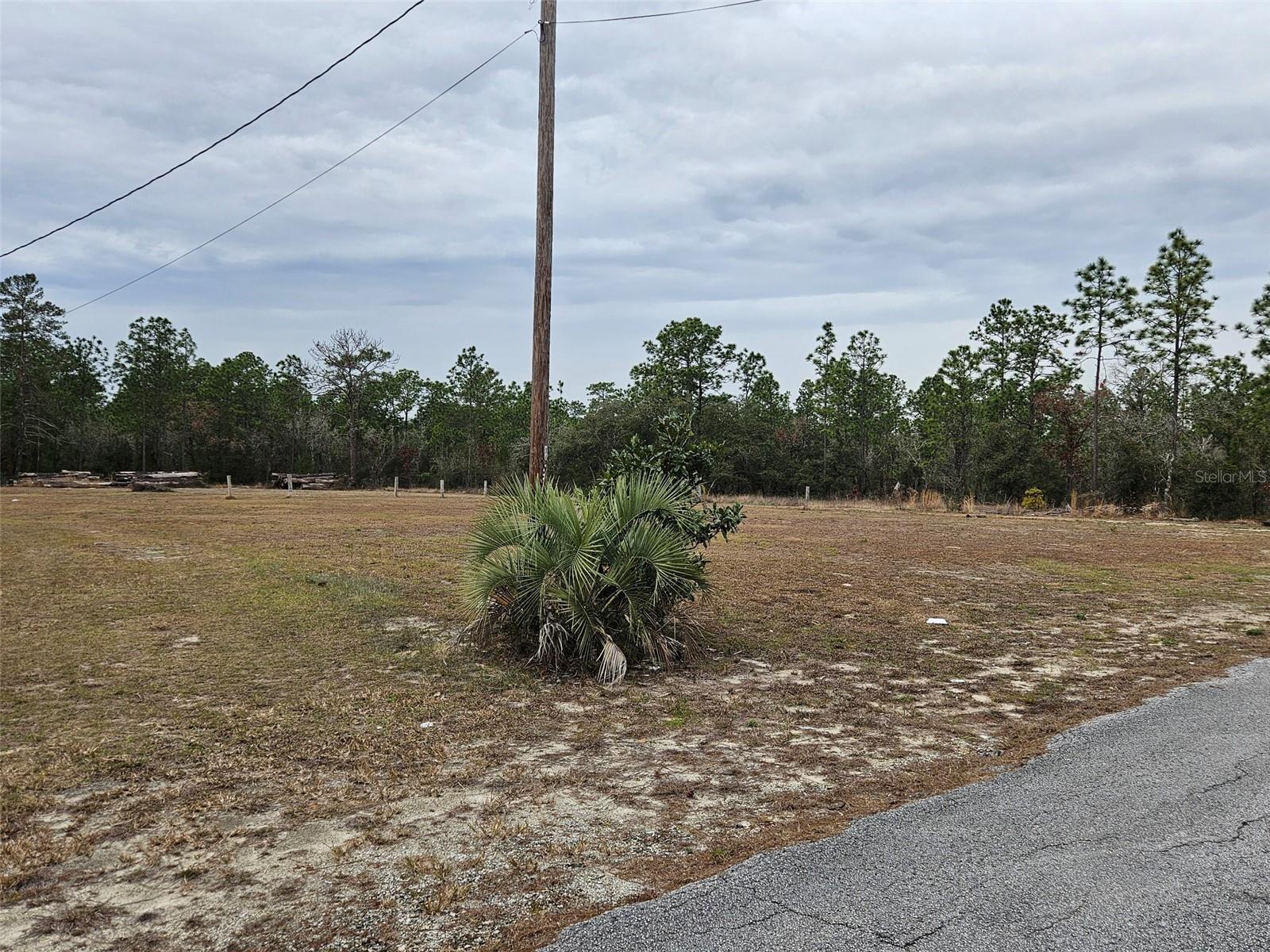 LOT 2 SW LITTLE CLIFFS DR, DUNNELLON, FL, 34431