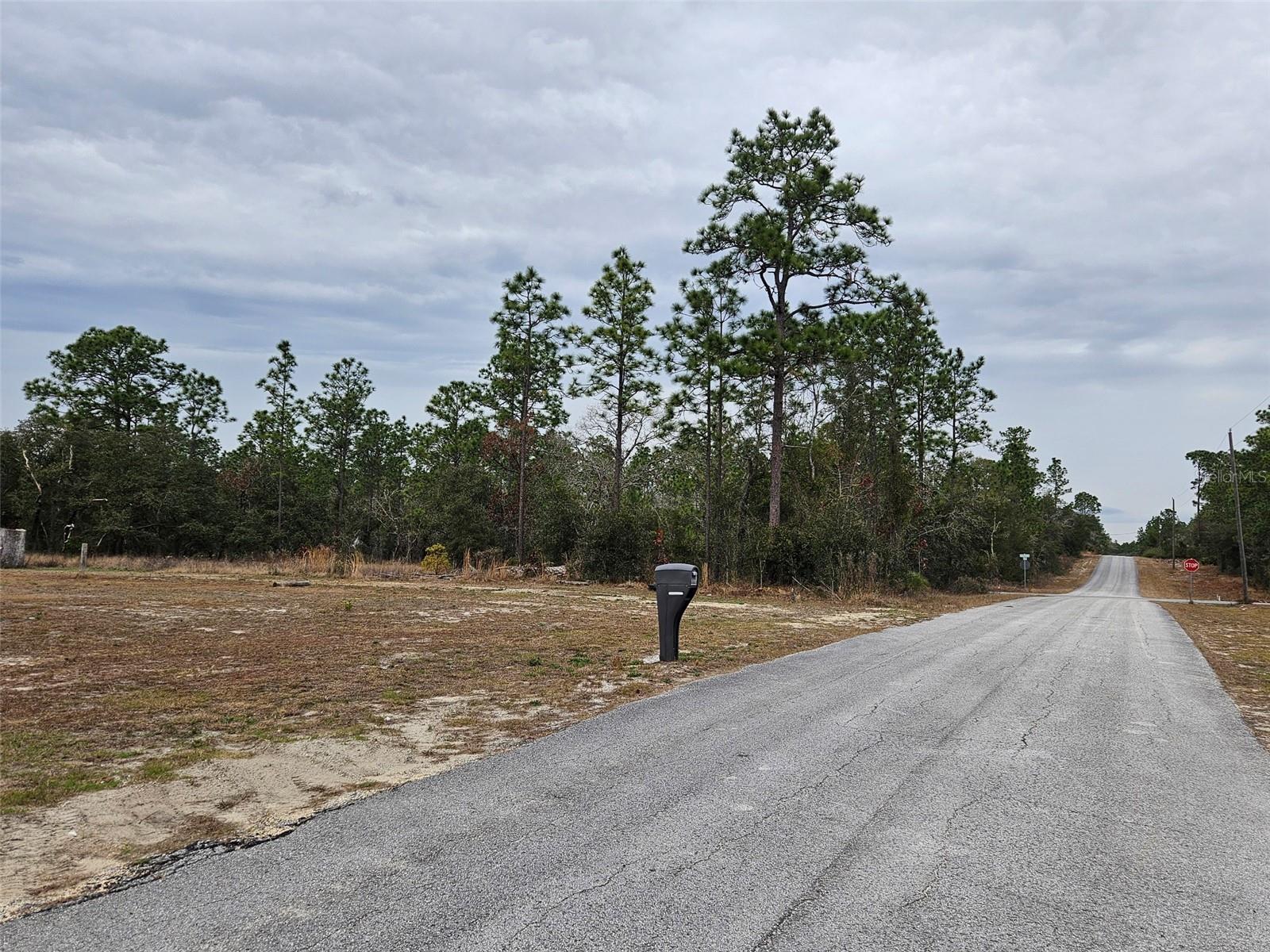 LOT 2 SW LITTLE CLIFFS DR, DUNNELLON, FL, 34431