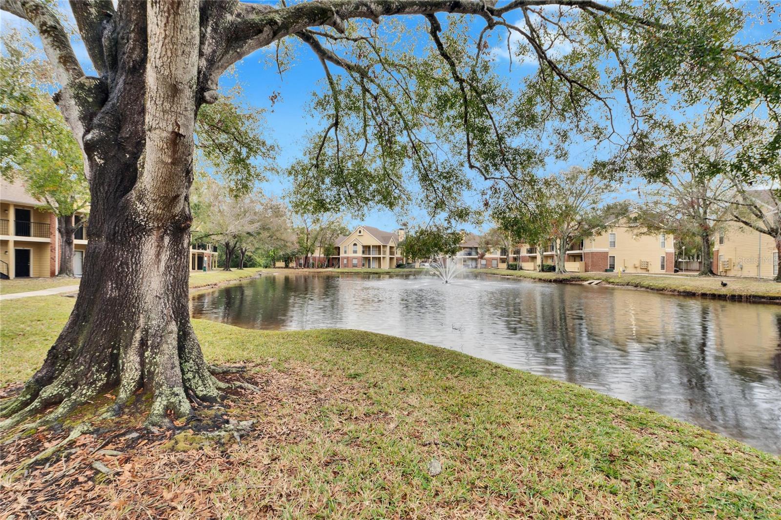 8647 FANCY FINCH DR #203, TAMPA, FL, 33614