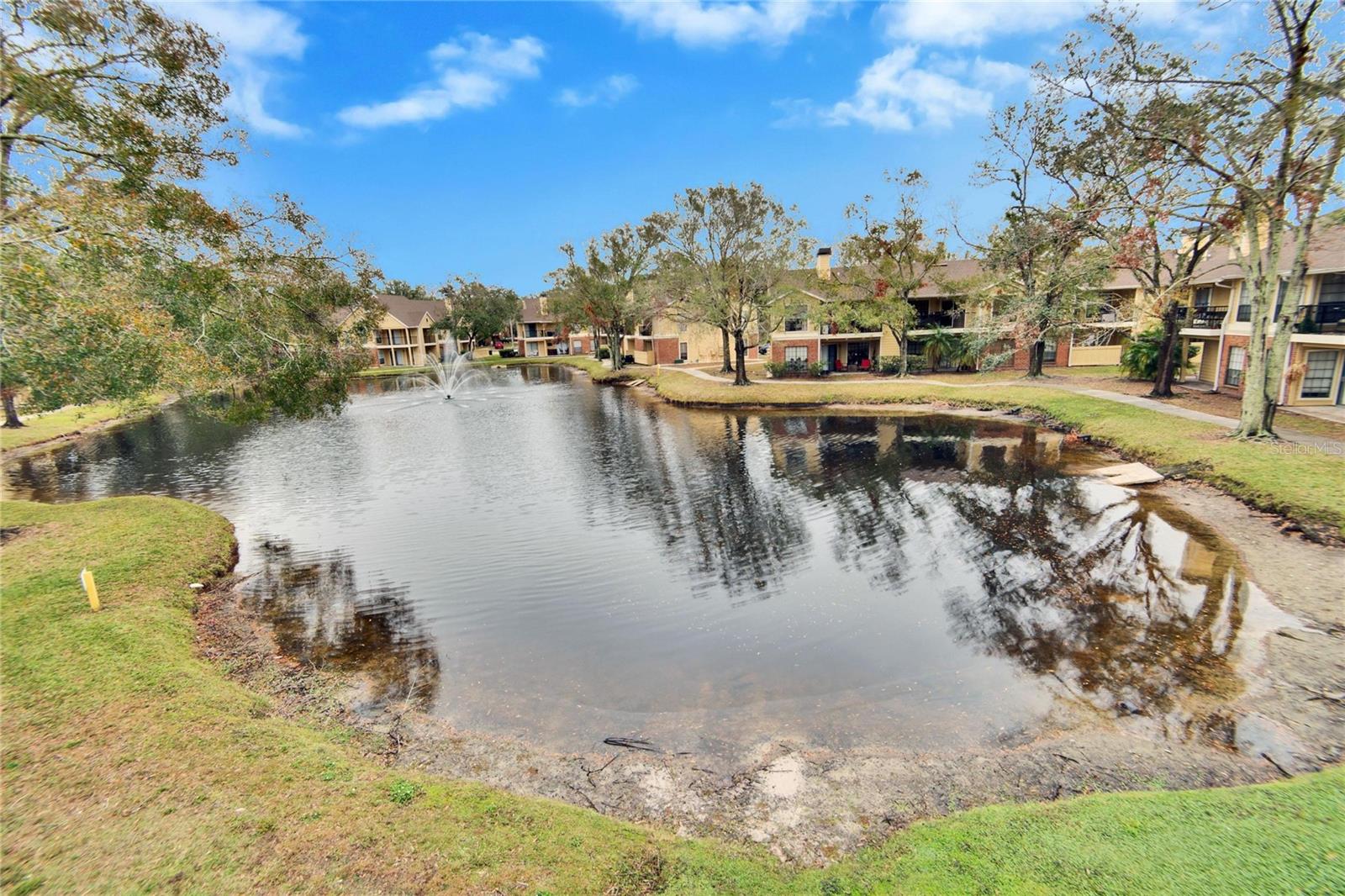 8647 FANCY FINCH DR #203, TAMPA, FL, 33614