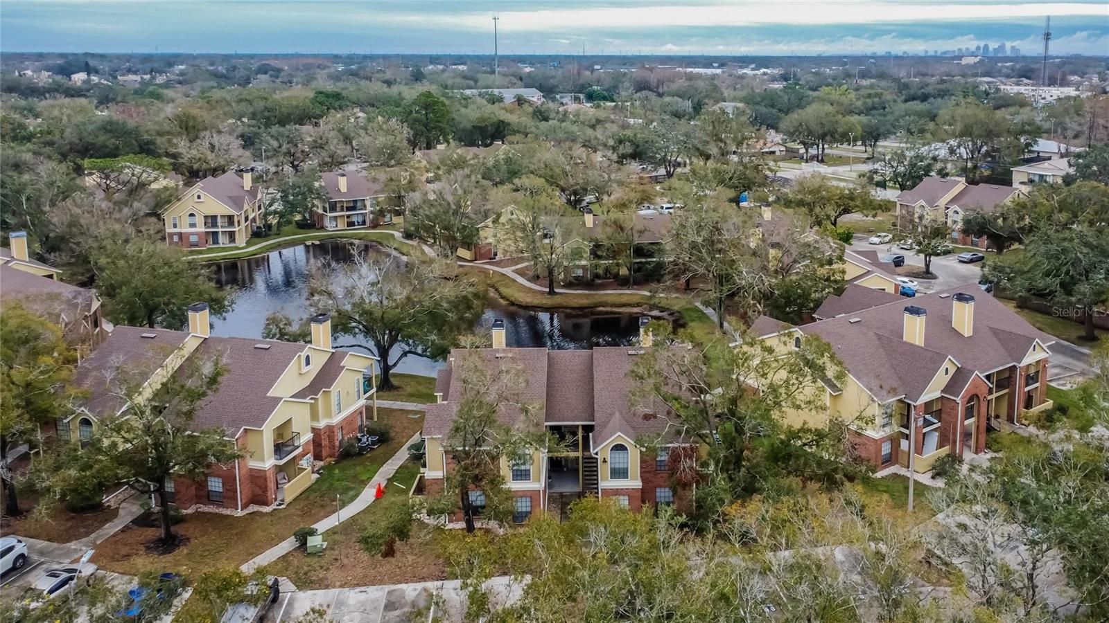 8647 FANCY FINCH DR #203, TAMPA, FL, 33614
